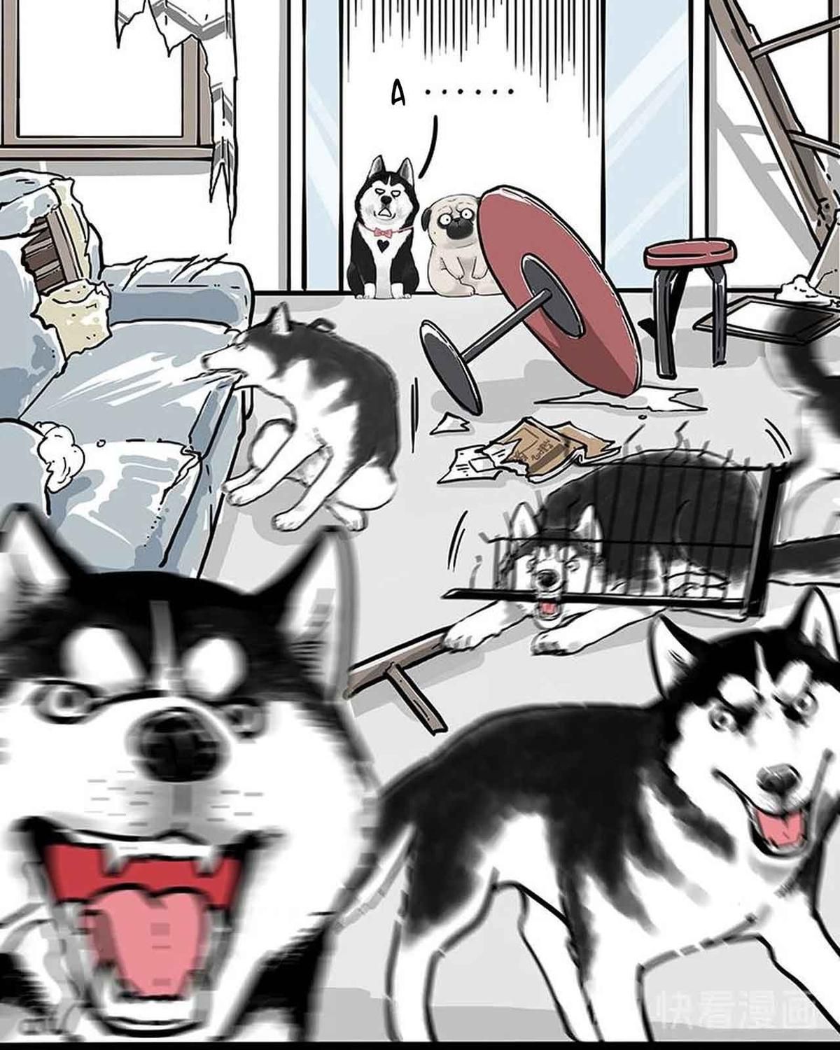 Hoàng Thượng và Ba Trát Hắc: Chapter 194