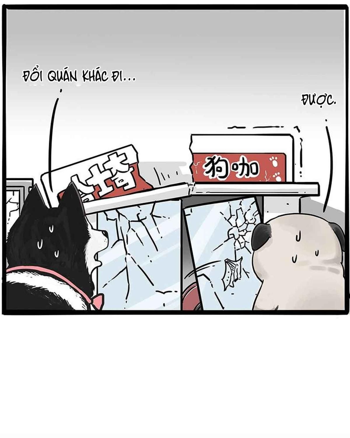 Hoàng Thượng và Ba Trát Hắc: Chapter 194