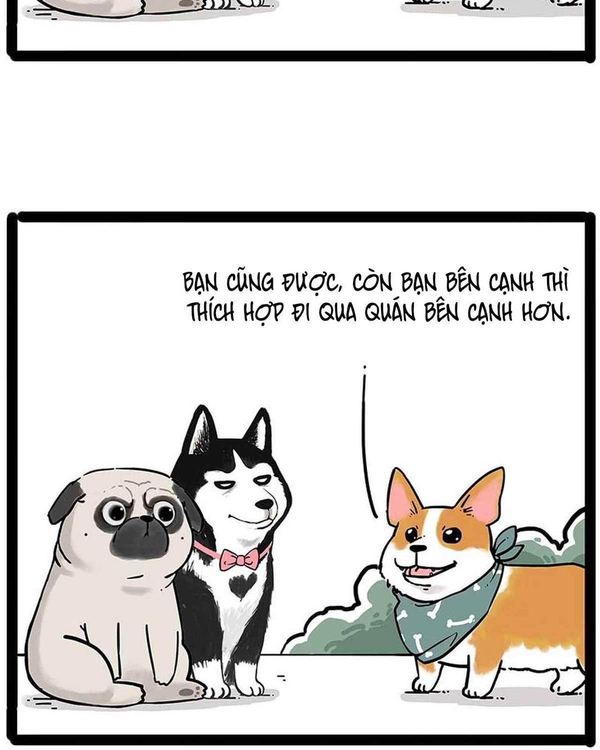 Hoàng Thượng và Ba Trát Hắc: Chapter 194