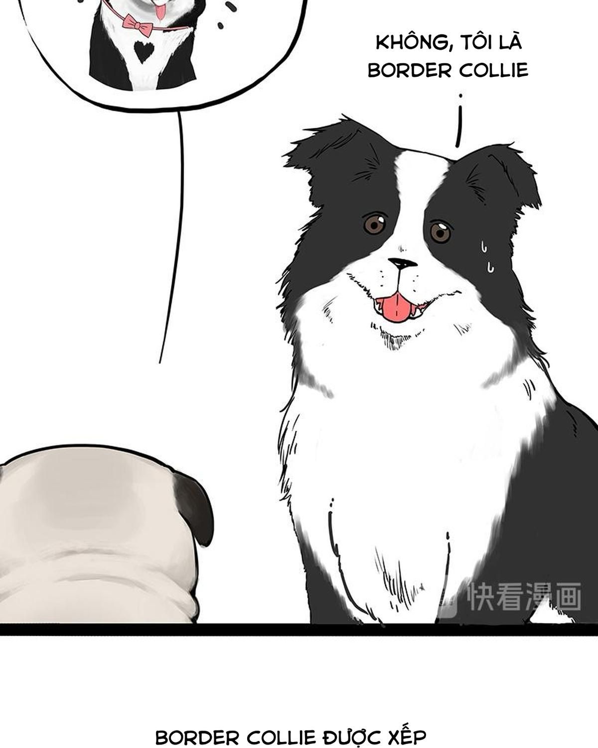 Hoàng Thượng và Ba Trát Hắc: Chapter 207