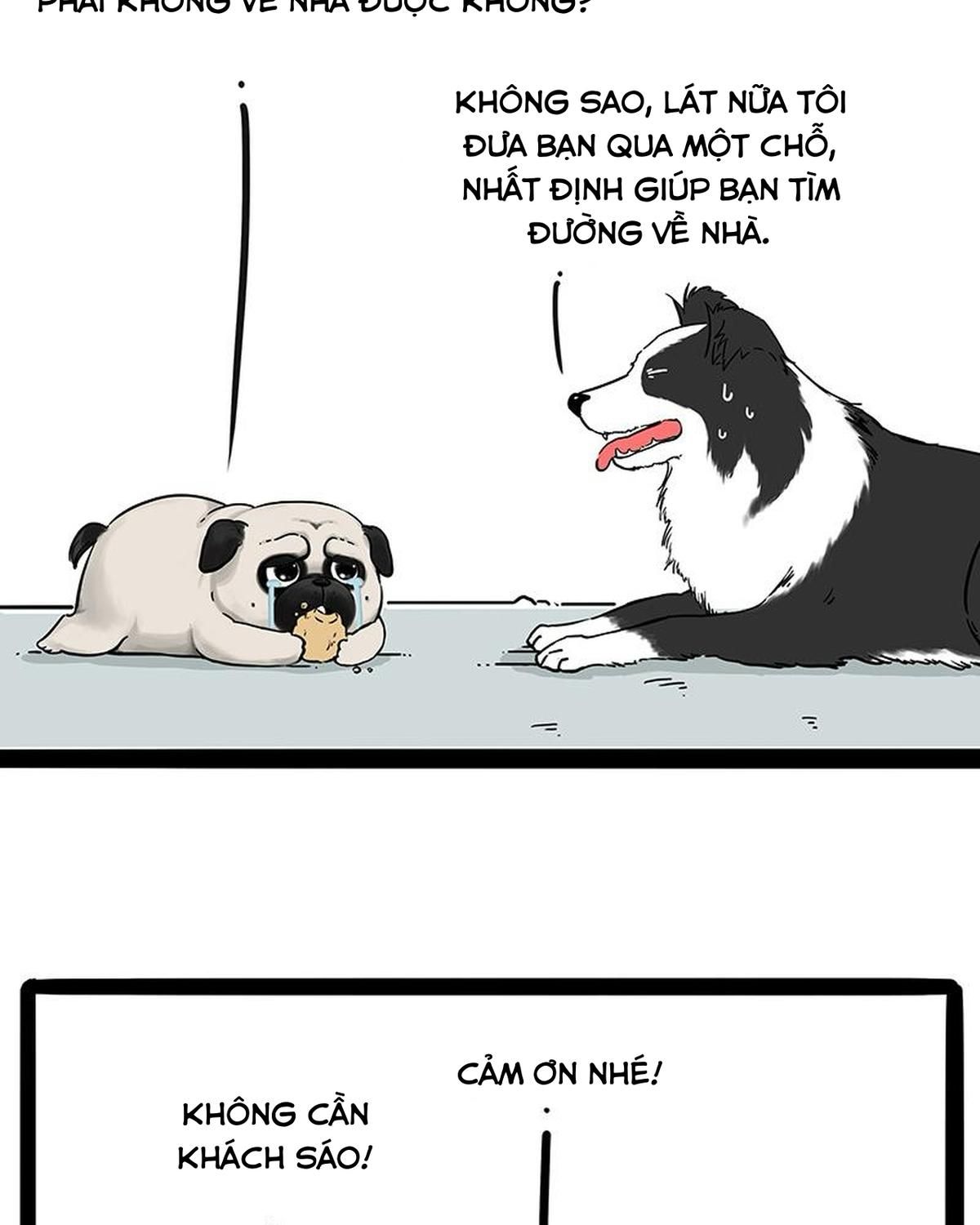 Hoàng Thượng và Ba Trát Hắc: Chapter 207