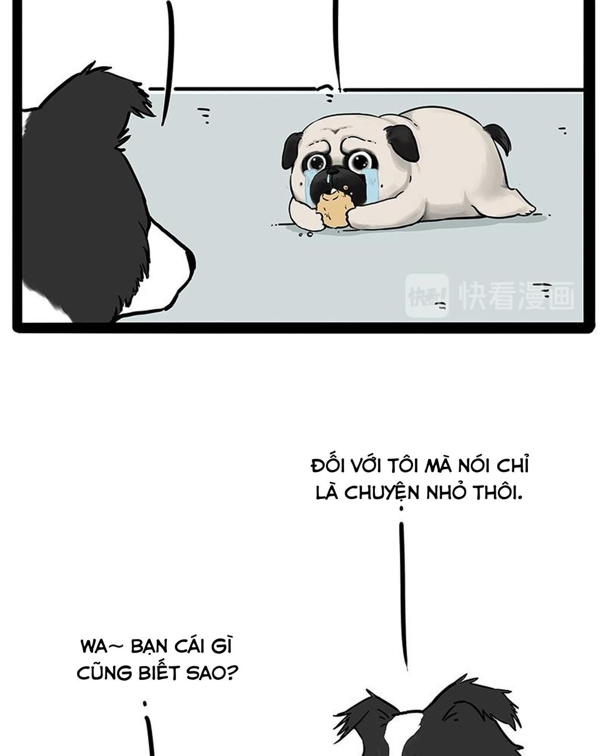 Hoàng Thượng và Ba Trát Hắc: Chapter 207