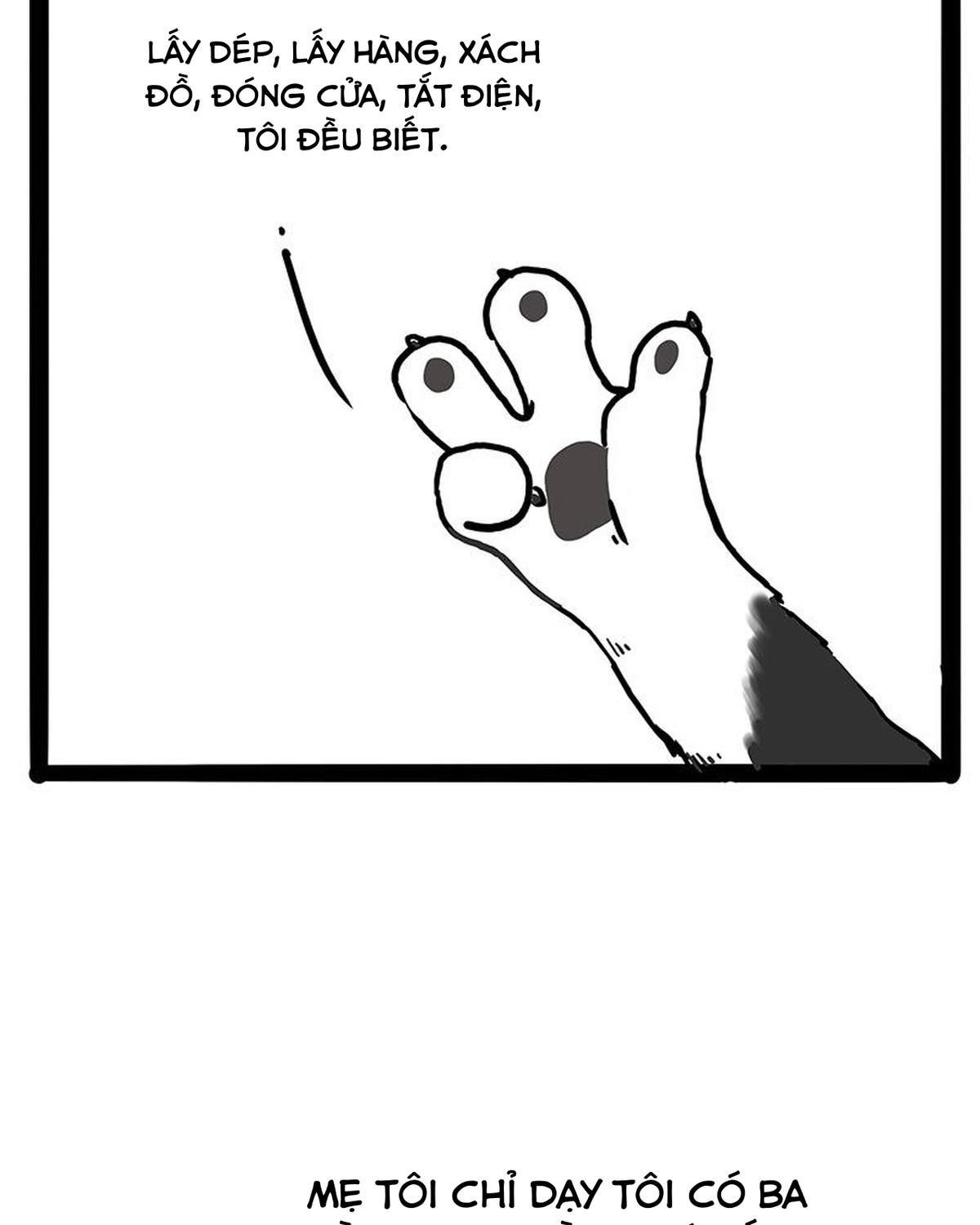 Hoàng Thượng và Ba Trát Hắc: Chapter 207