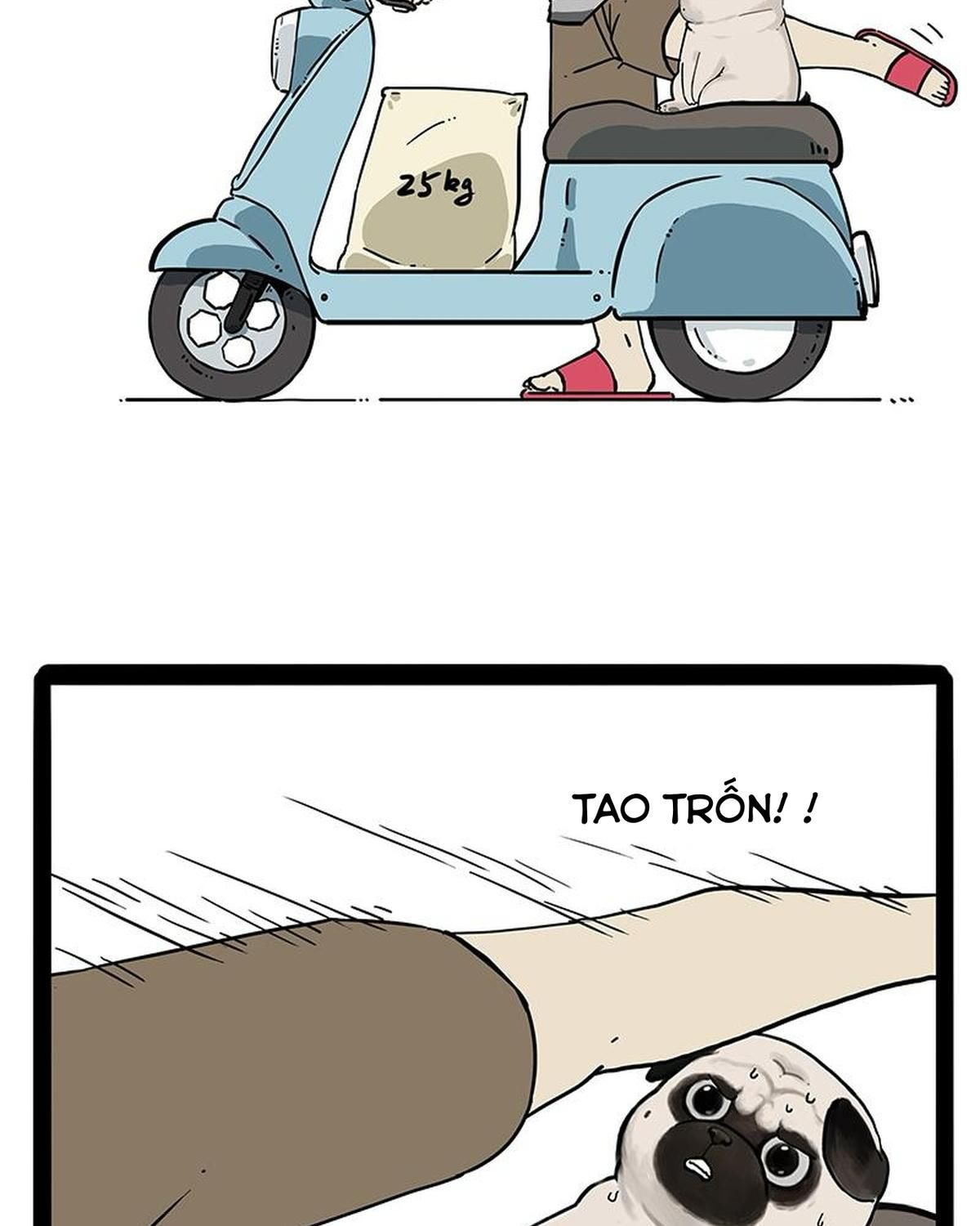 Hoàng Thượng và Ba Trát Hắc: Chapter 207