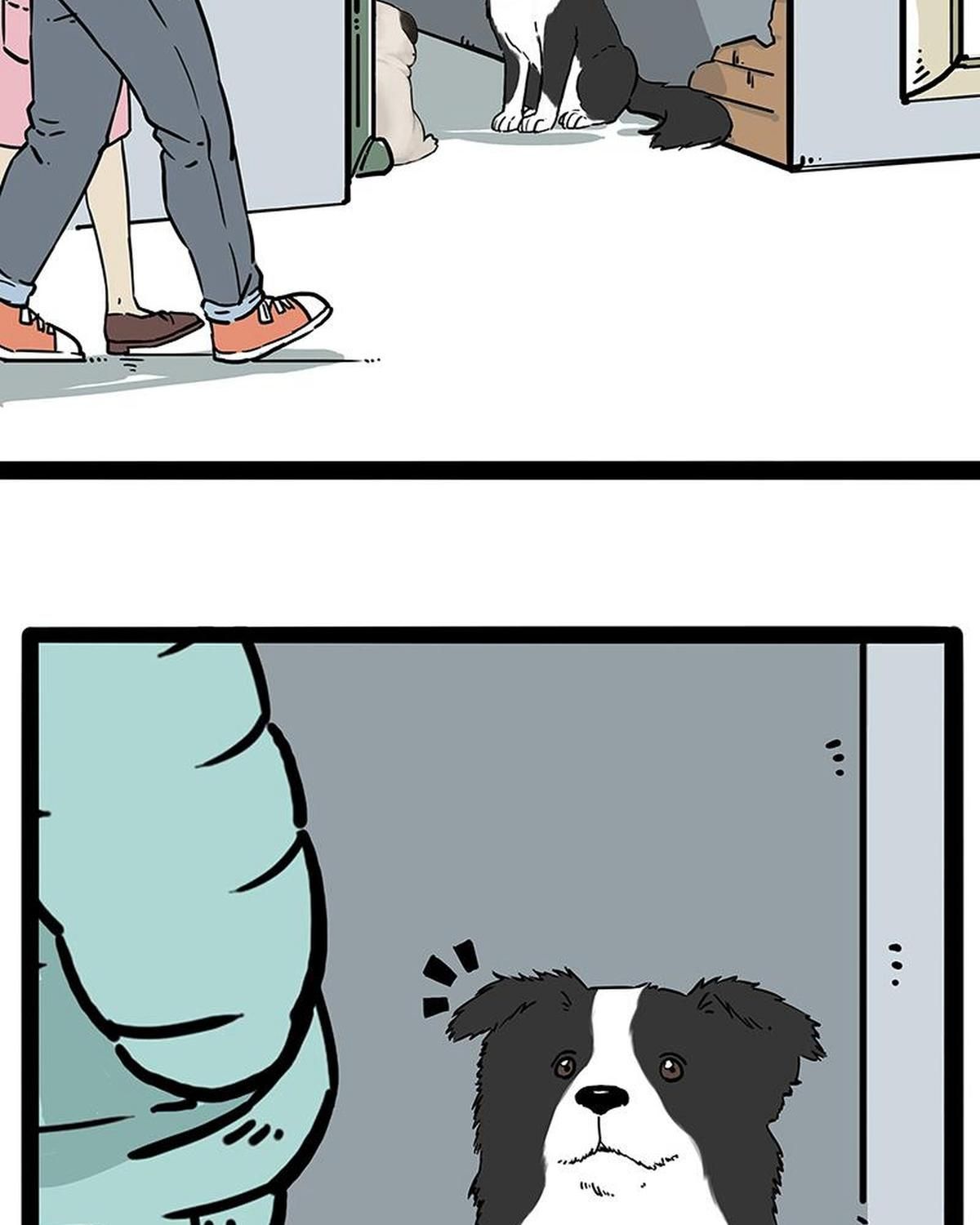 Hoàng Thượng và Ba Trát Hắc: Chapter 207