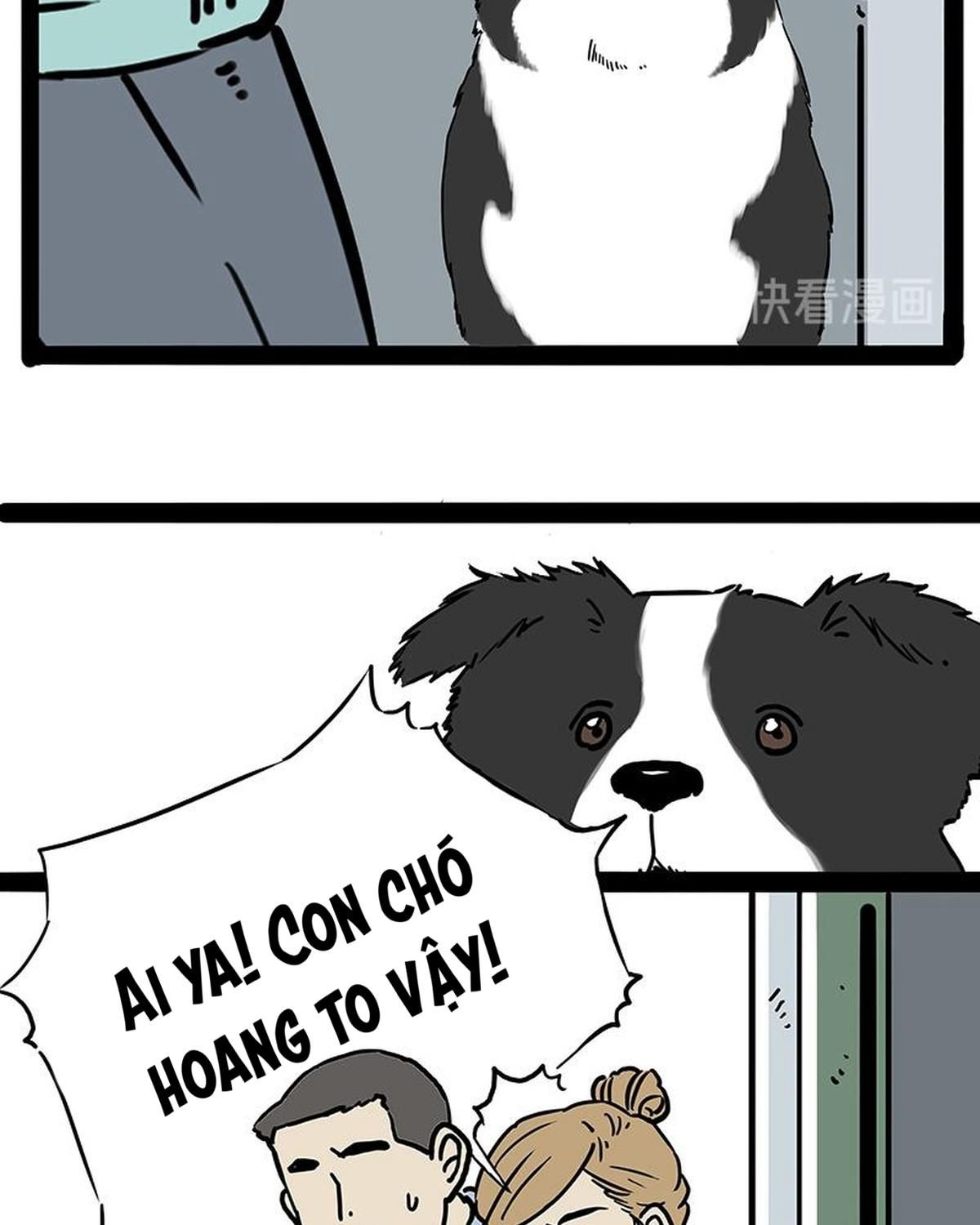 Hoàng Thượng và Ba Trát Hắc: Chapter 207