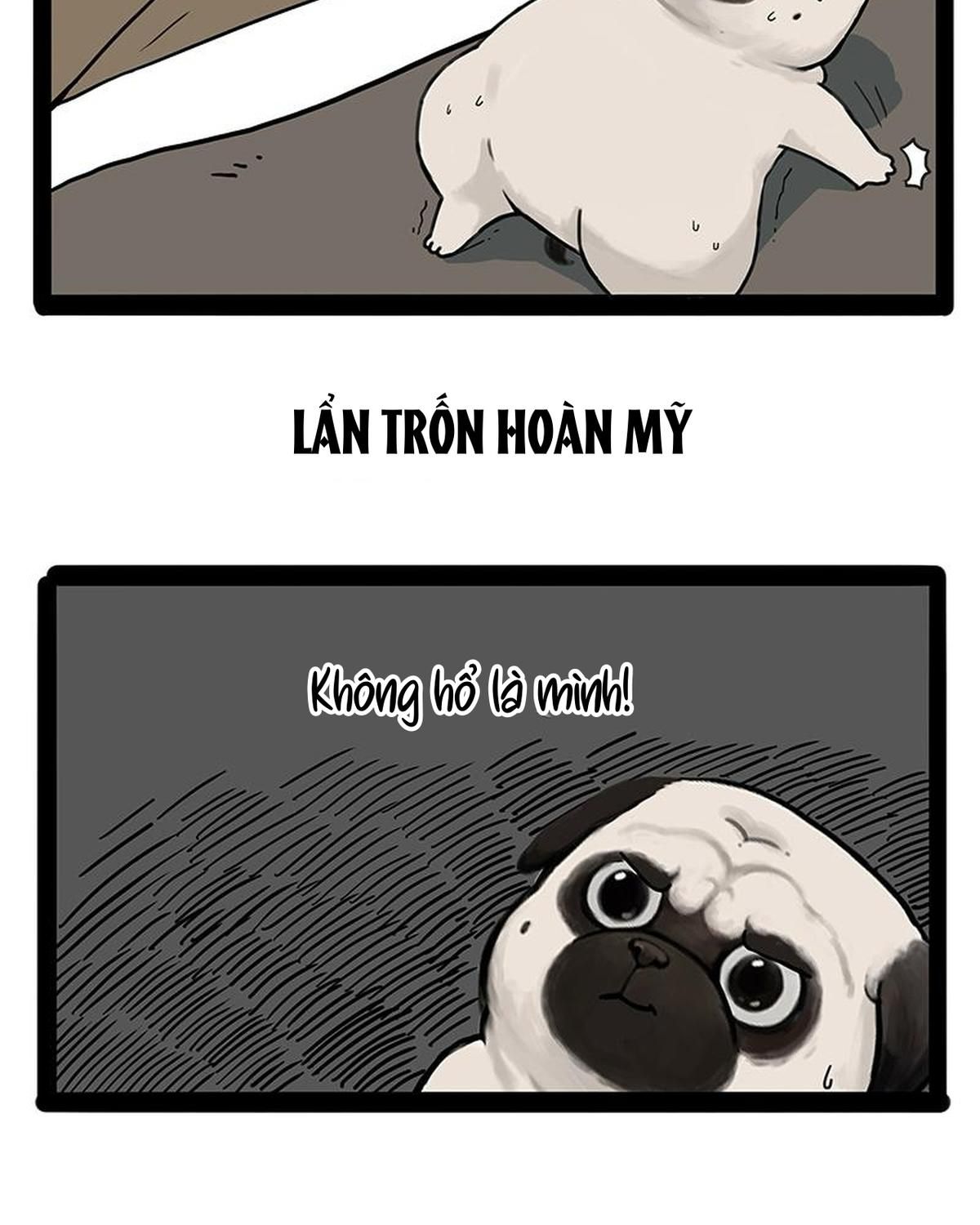 Hoàng Thượng và Ba Trát Hắc: Chapter 207