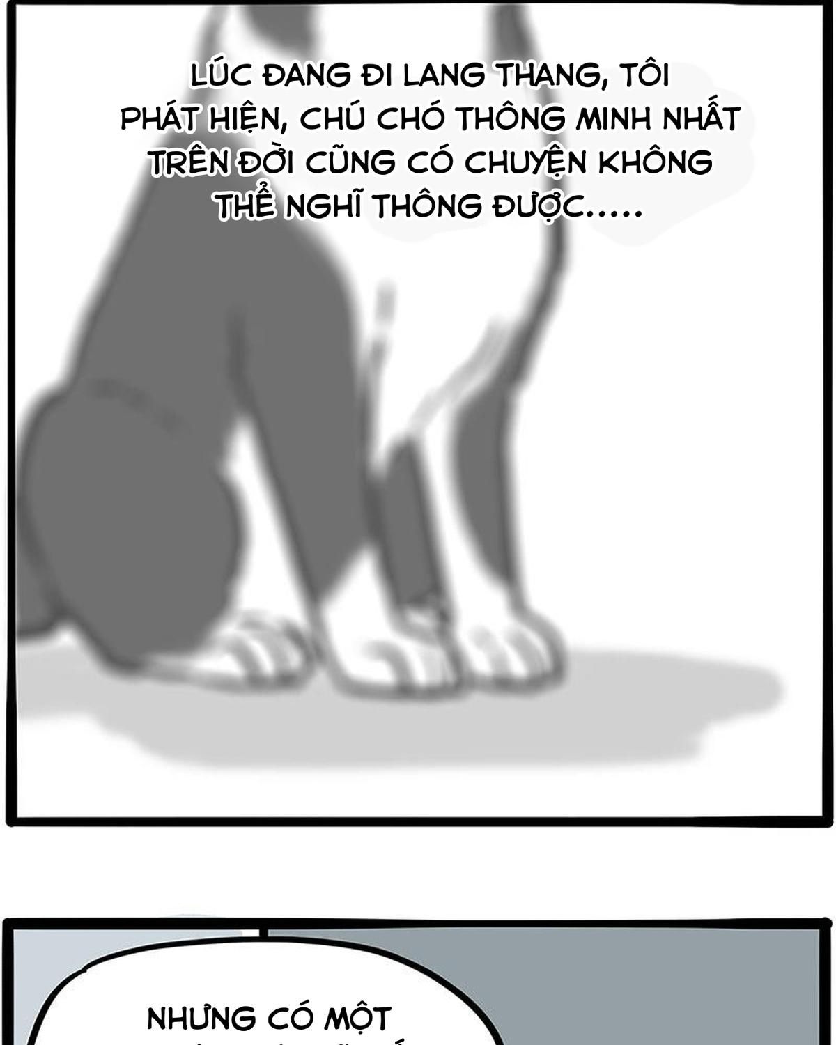 Hoàng Thượng và Ba Trát Hắc: Chapter 207