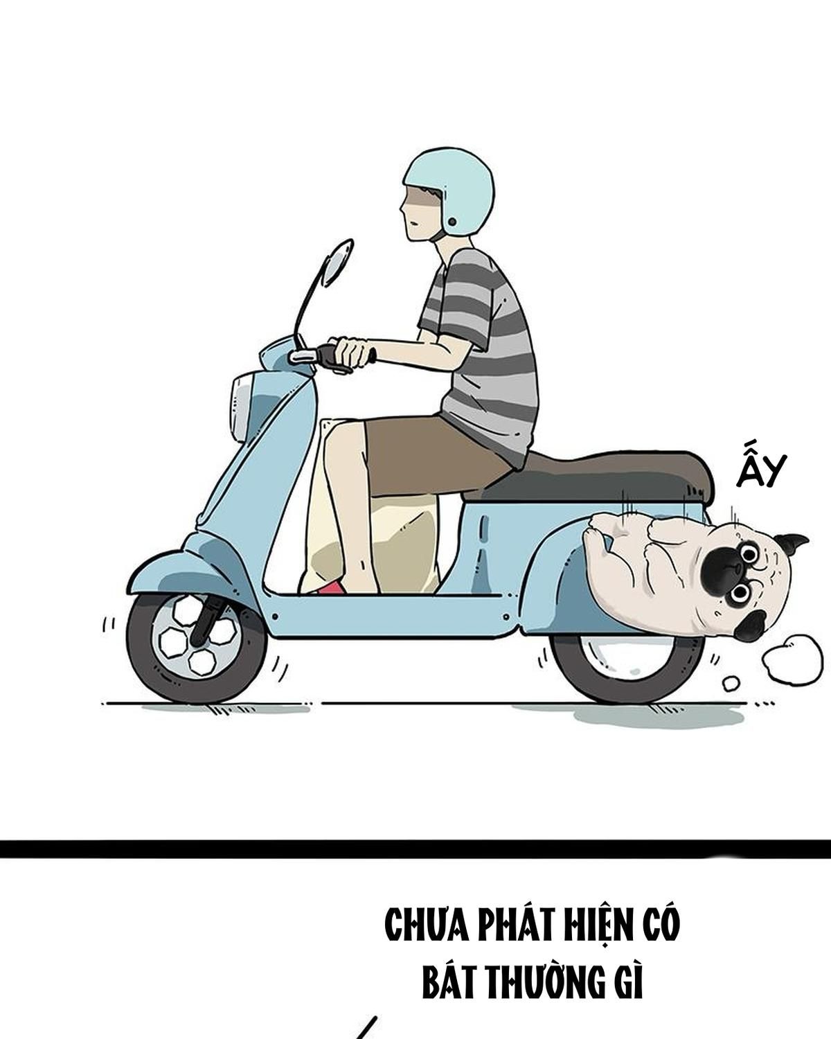 Hoàng Thượng và Ba Trát Hắc: Chapter 207