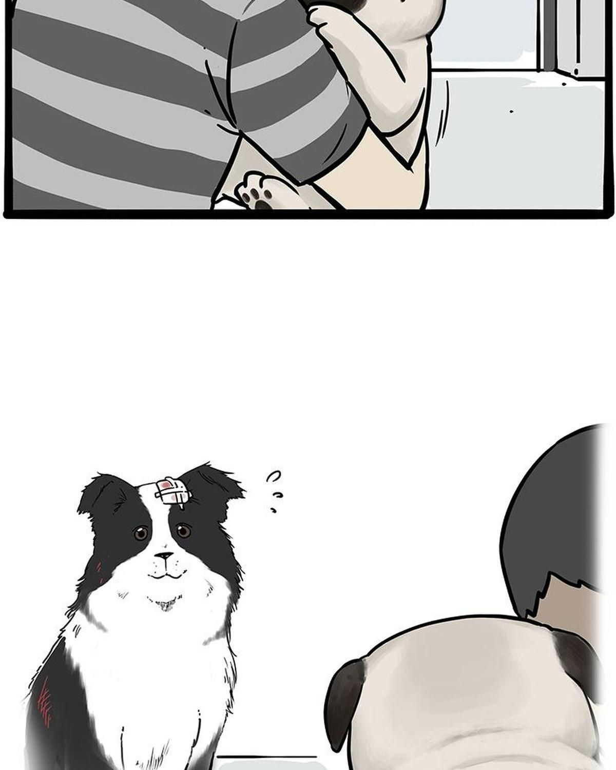 Hoàng Thượng và Ba Trát Hắc: Chapter 207