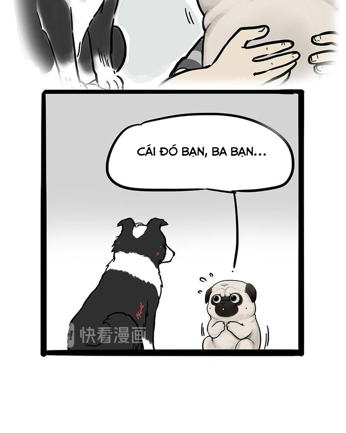 Hoàng Thượng và Ba Trát Hắc: Chapter 207