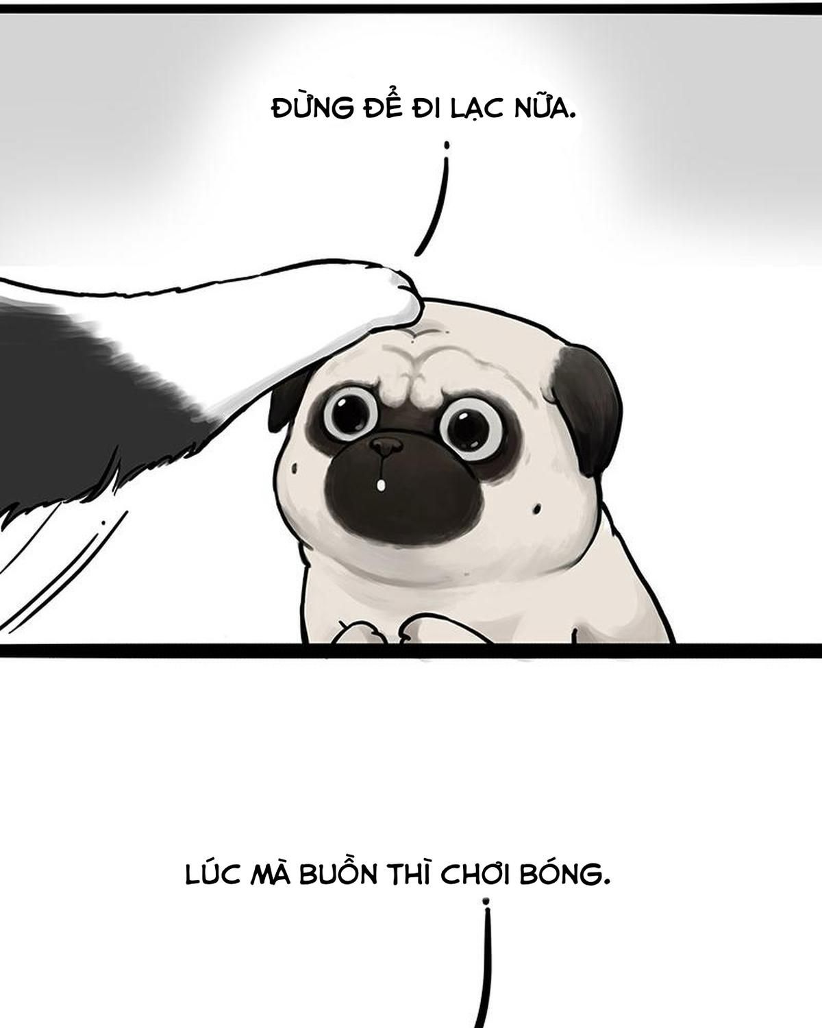 Hoàng Thượng và Ba Trát Hắc: Chapter 207