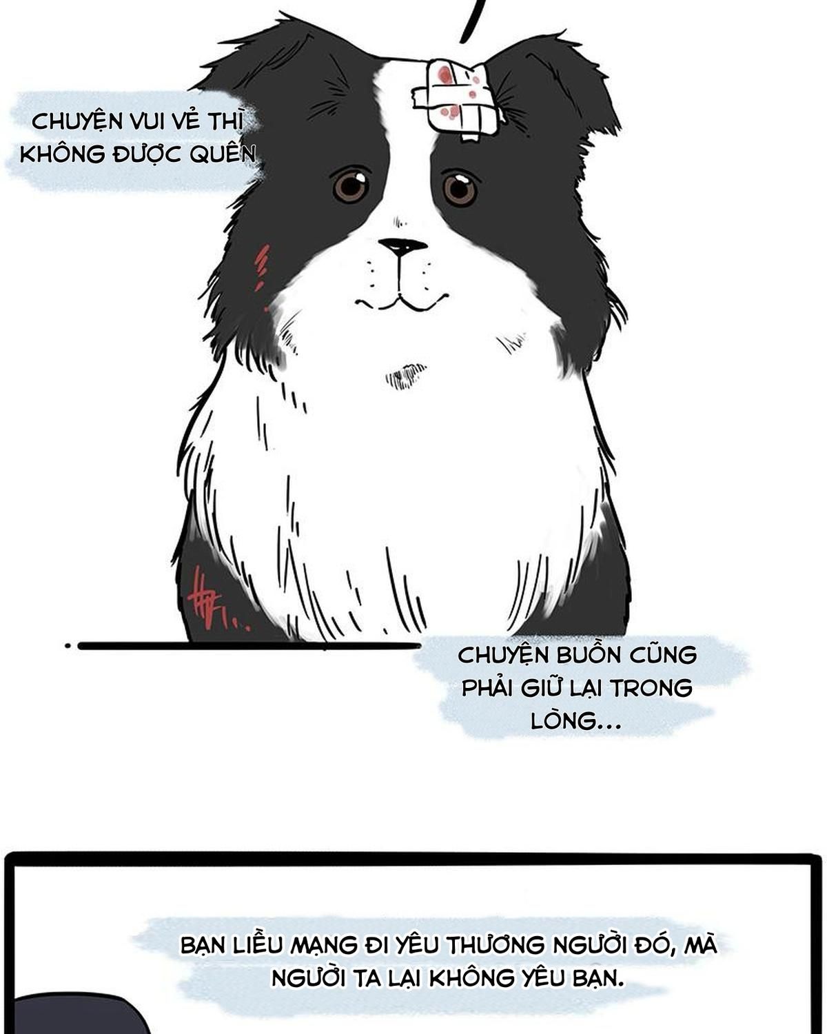 Hoàng Thượng và Ba Trát Hắc: Chapter 207