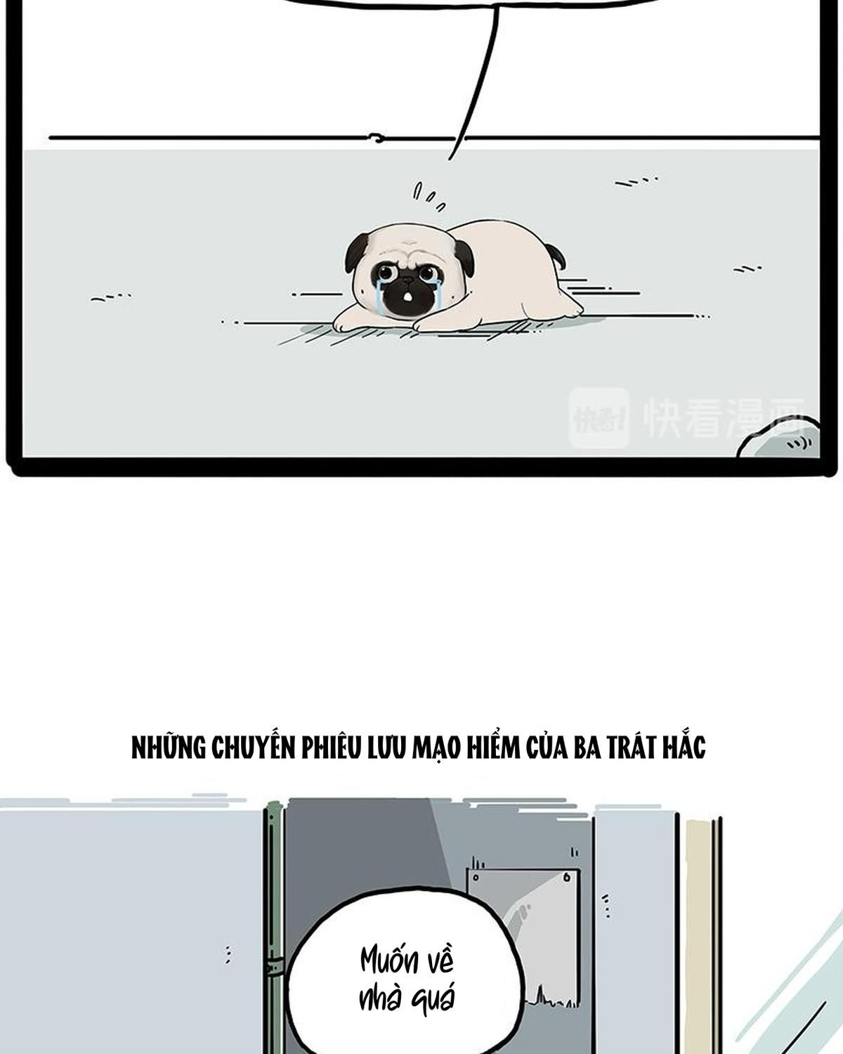 Hoàng Thượng và Ba Trát Hắc: Chapter 207