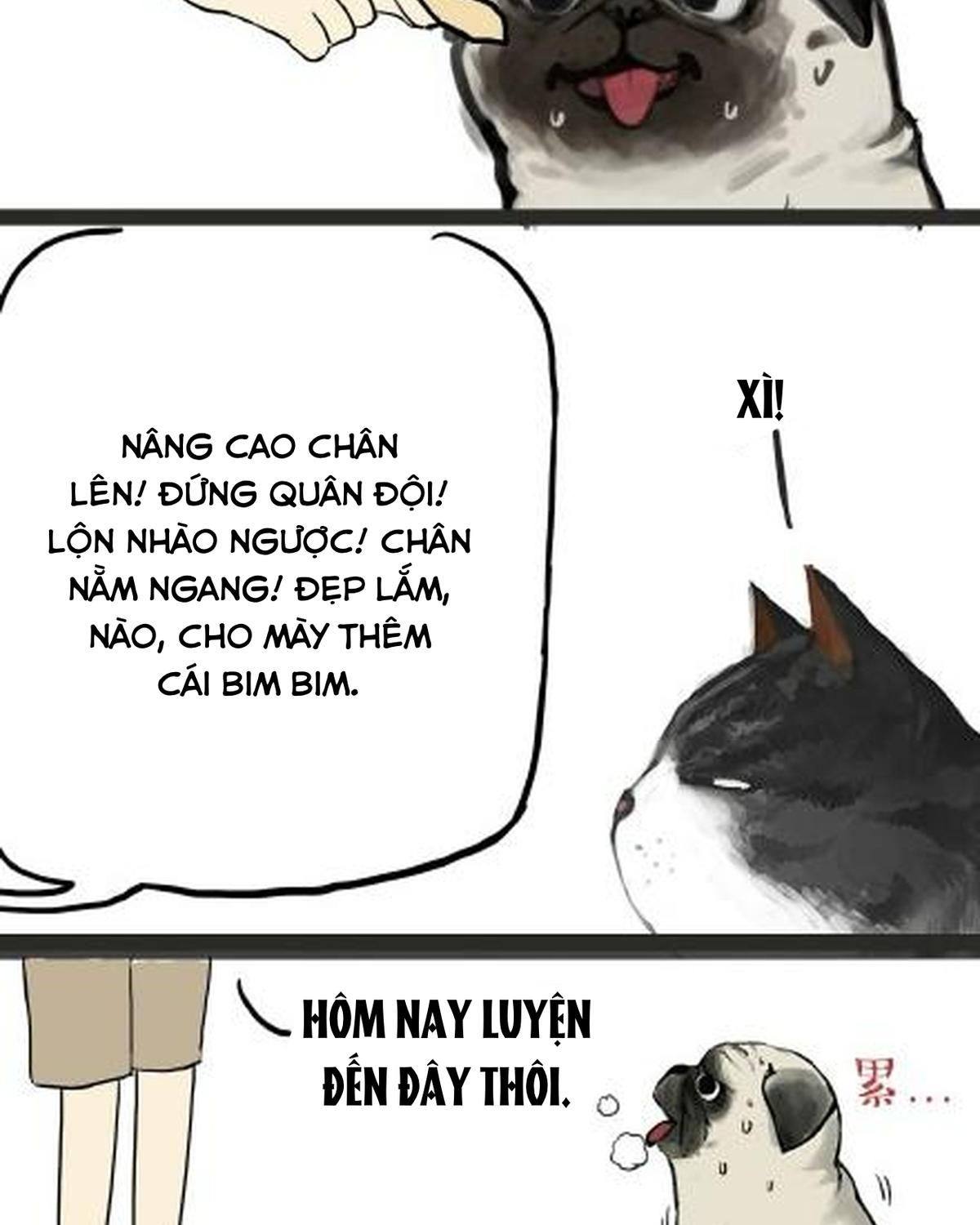 Hoàng Thượng và Ba Trát Hắc: Chapter 21