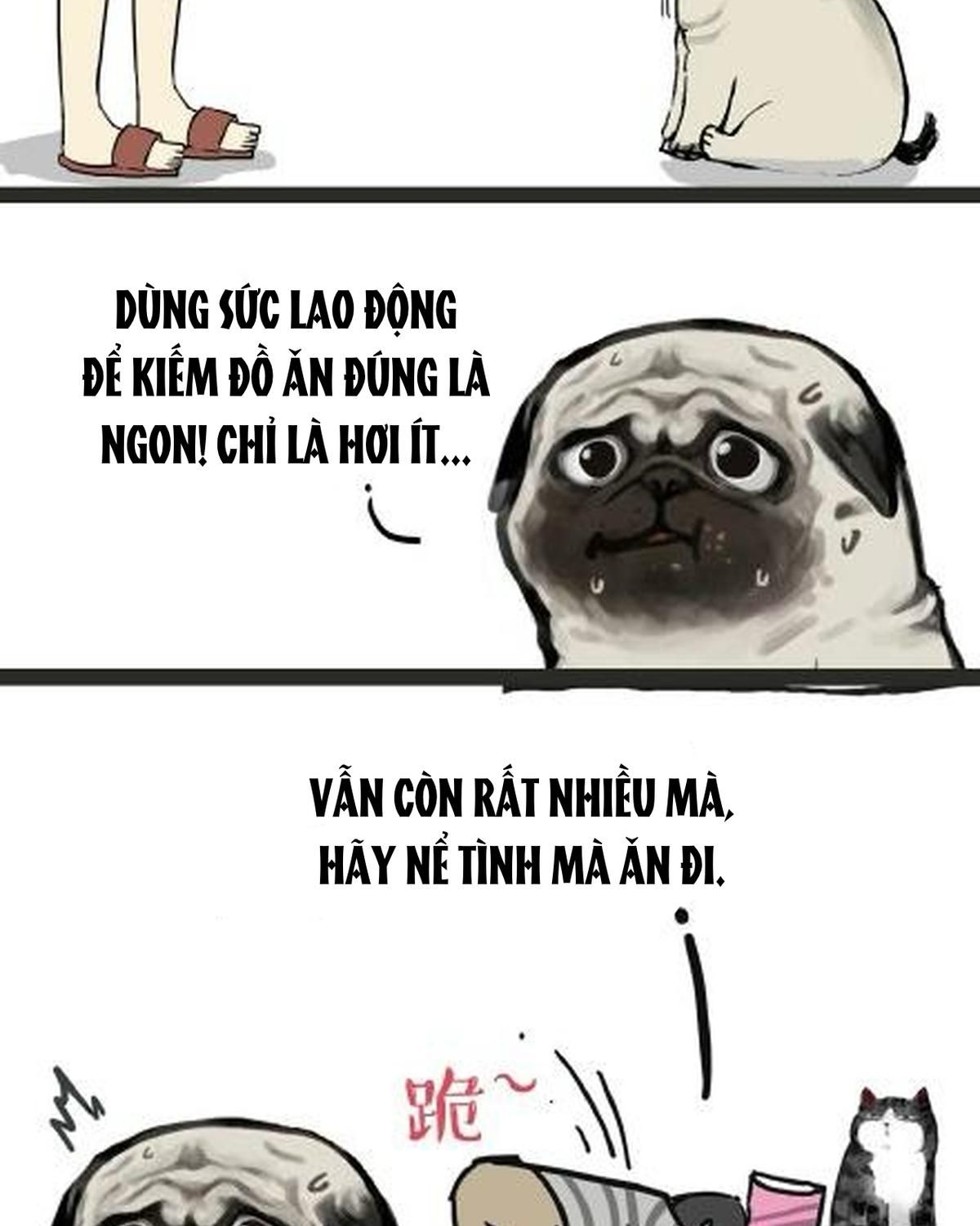 Hoàng Thượng và Ba Trát Hắc: Chapter 21