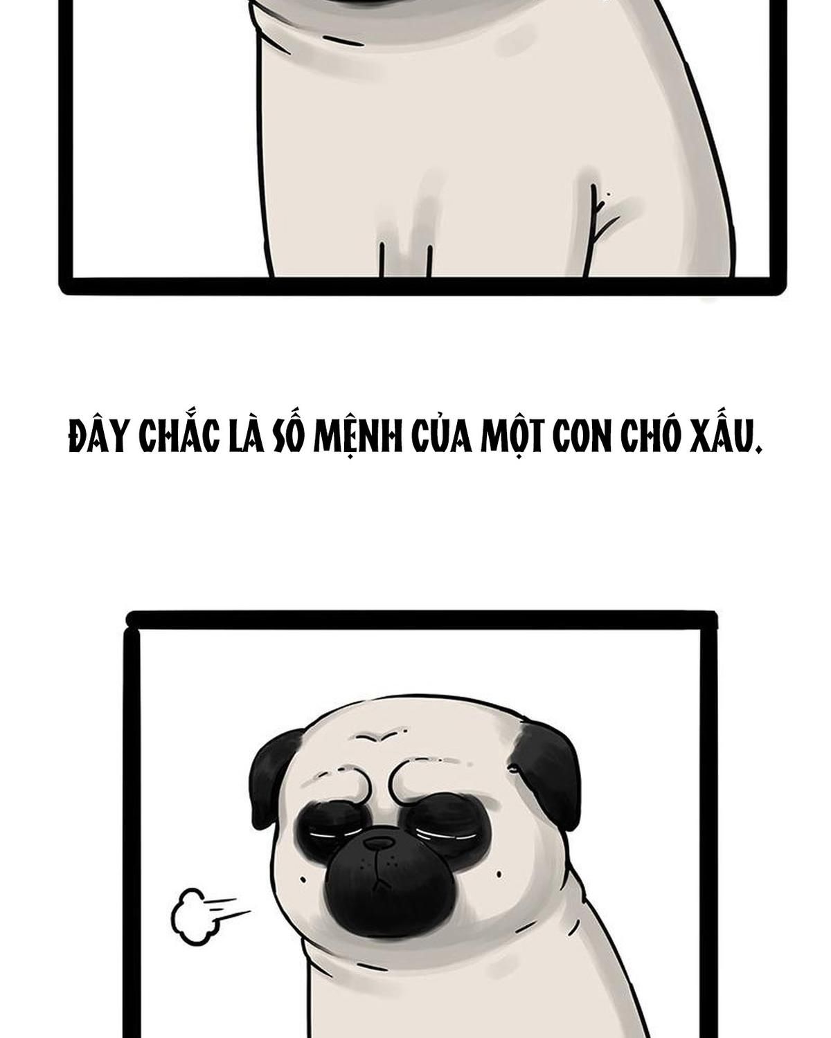 Hoàng Thượng và Ba Trát Hắc: Chapter 210