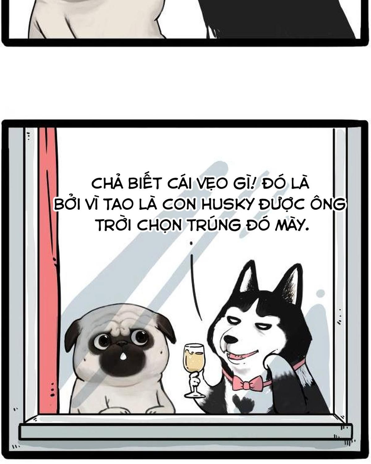 Hoàng Thượng và Ba Trát Hắc: Chapter 212