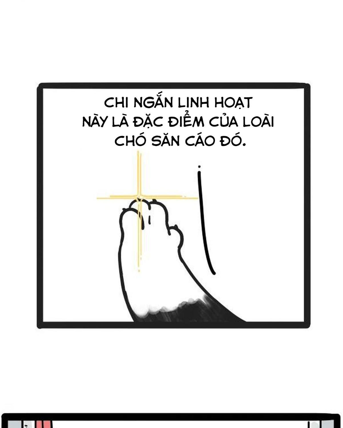 Hoàng Thượng và Ba Trát Hắc: Chapter 212