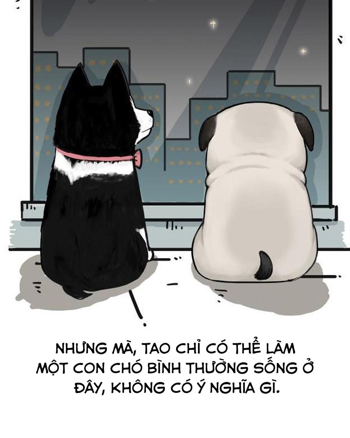 Hoàng Thượng và Ba Trát Hắc: Chapter 212