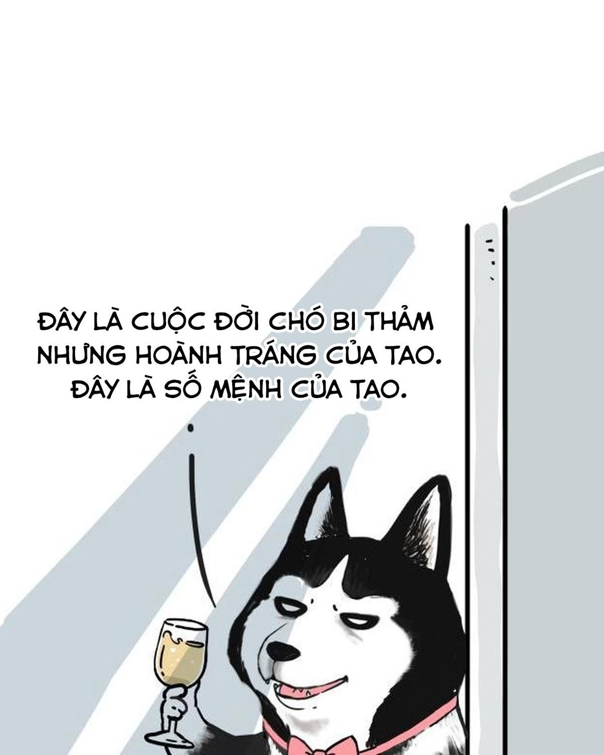 Hoàng Thượng và Ba Trát Hắc: Chapter 212