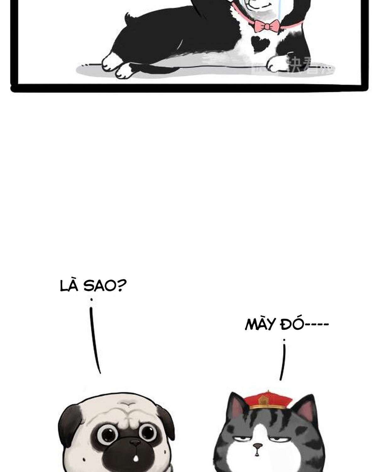 Hoàng Thượng và Ba Trát Hắc: Chapter 212