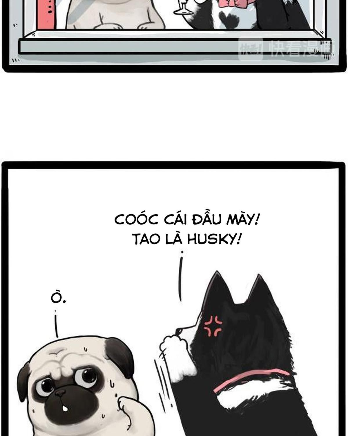 Hoàng Thượng và Ba Trát Hắc: Chapter 212