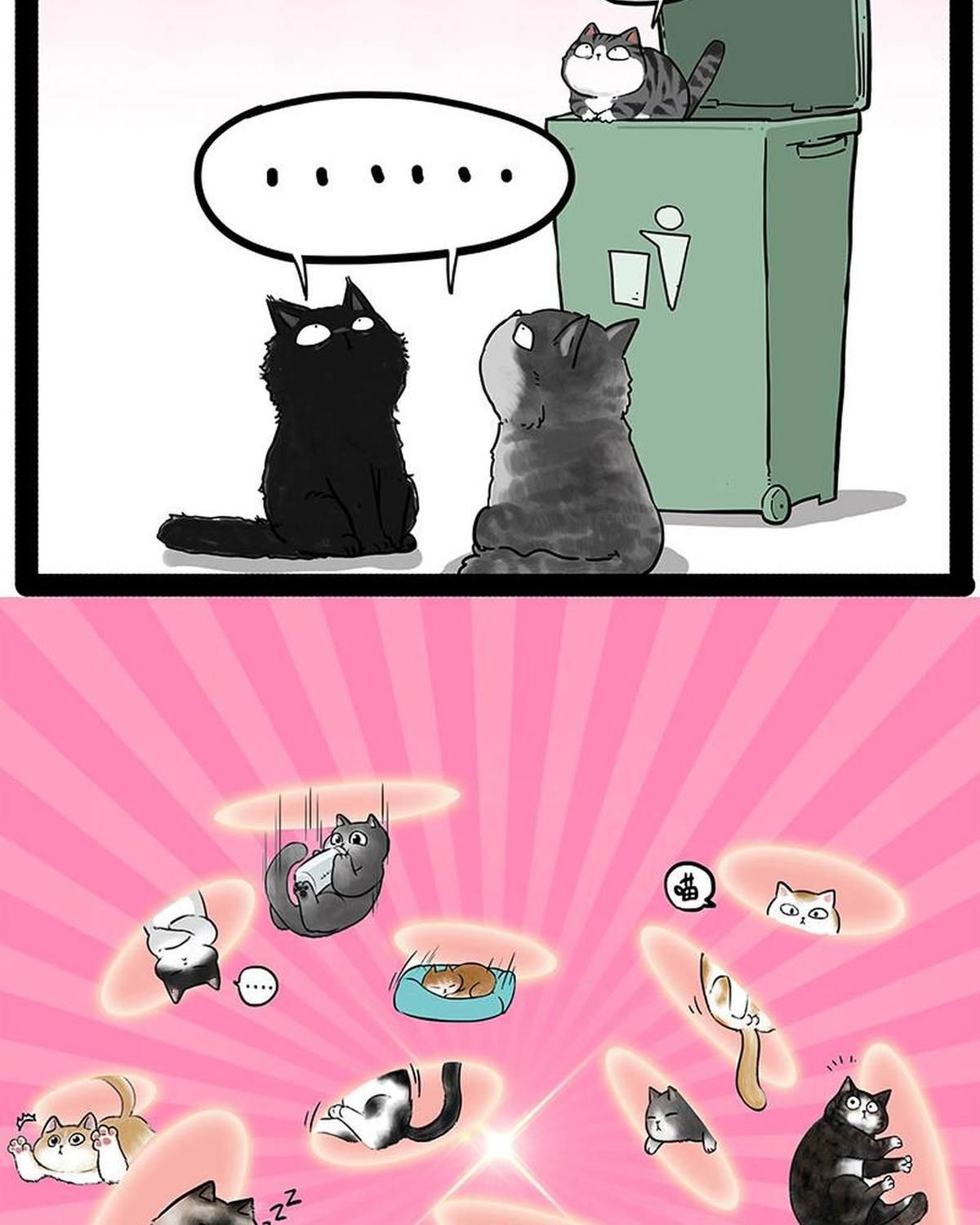 Hoàng Thượng và Ba Trát Hắc: Chapter 214