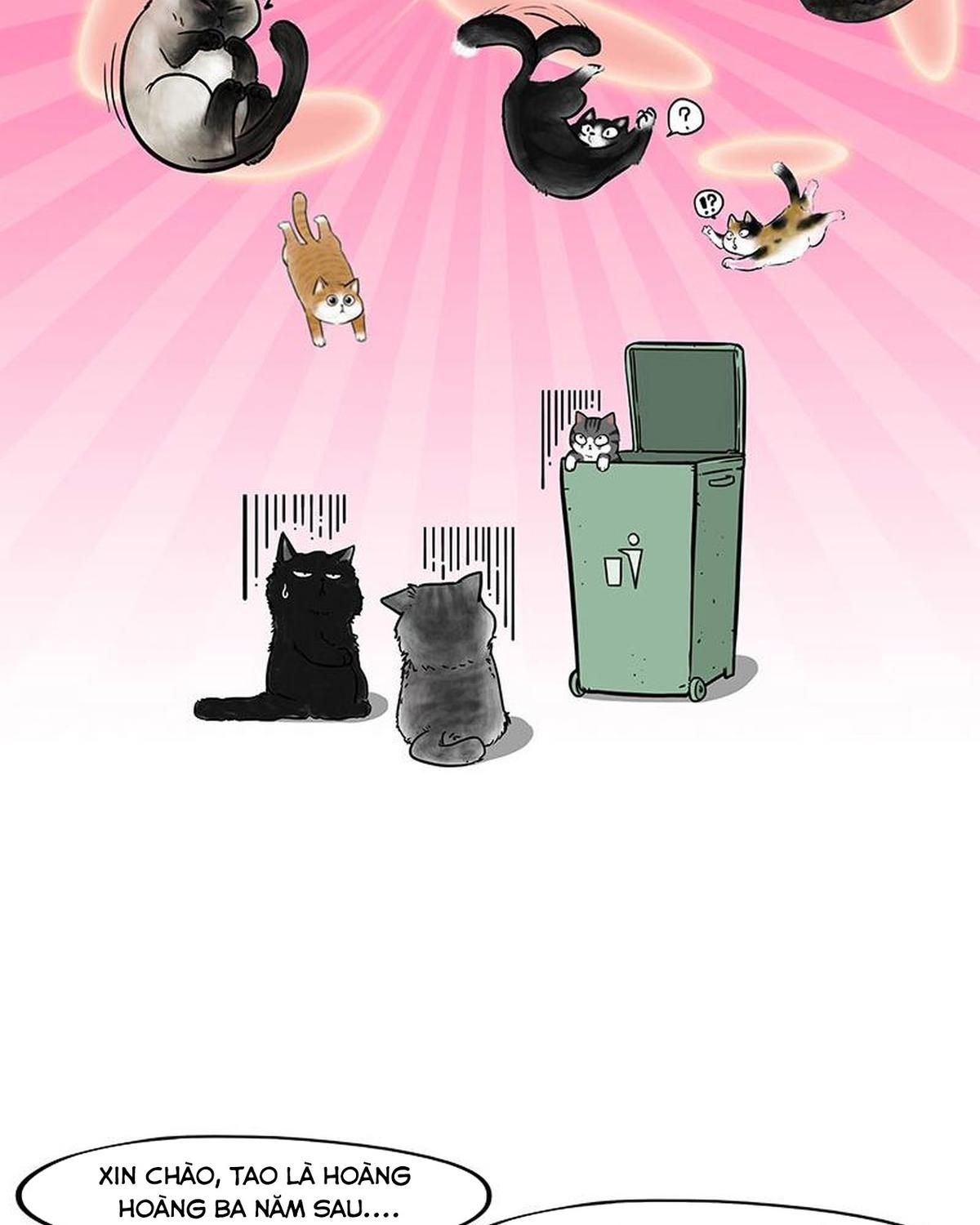 Hoàng Thượng và Ba Trát Hắc: Chapter 214
