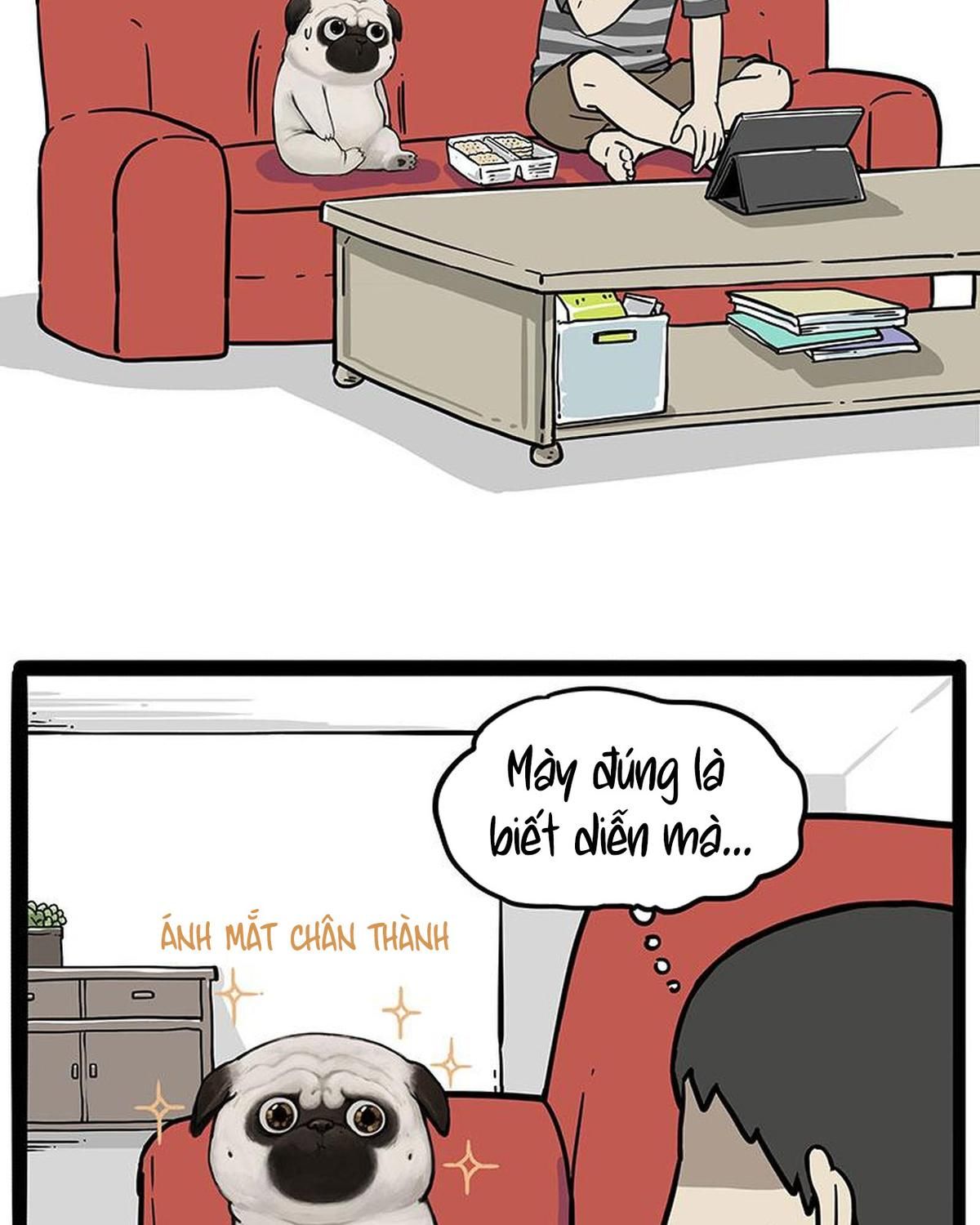 Hoàng Thượng và Ba Trát Hắc: Chapter 215