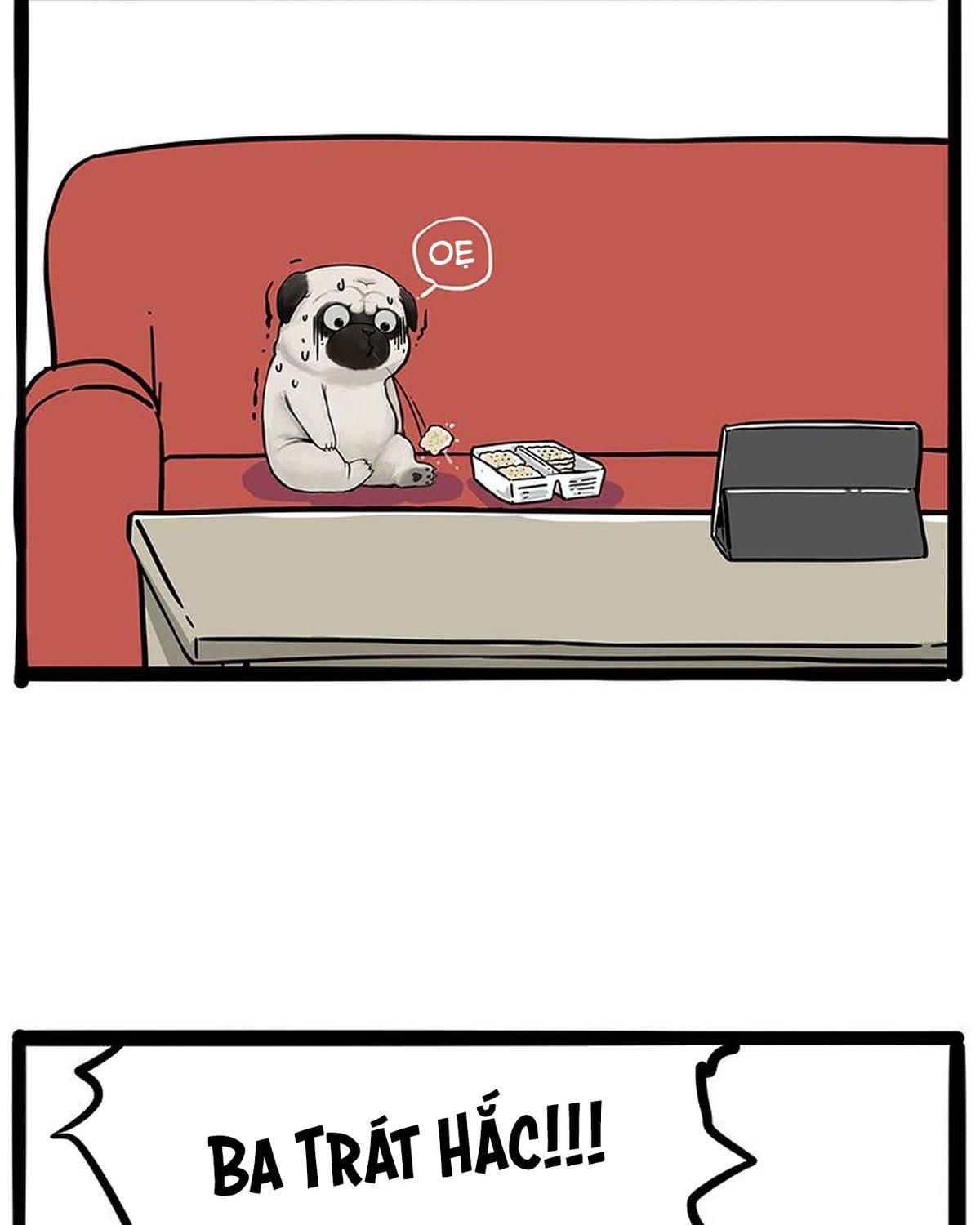 Hoàng Thượng và Ba Trát Hắc: Chapter 215