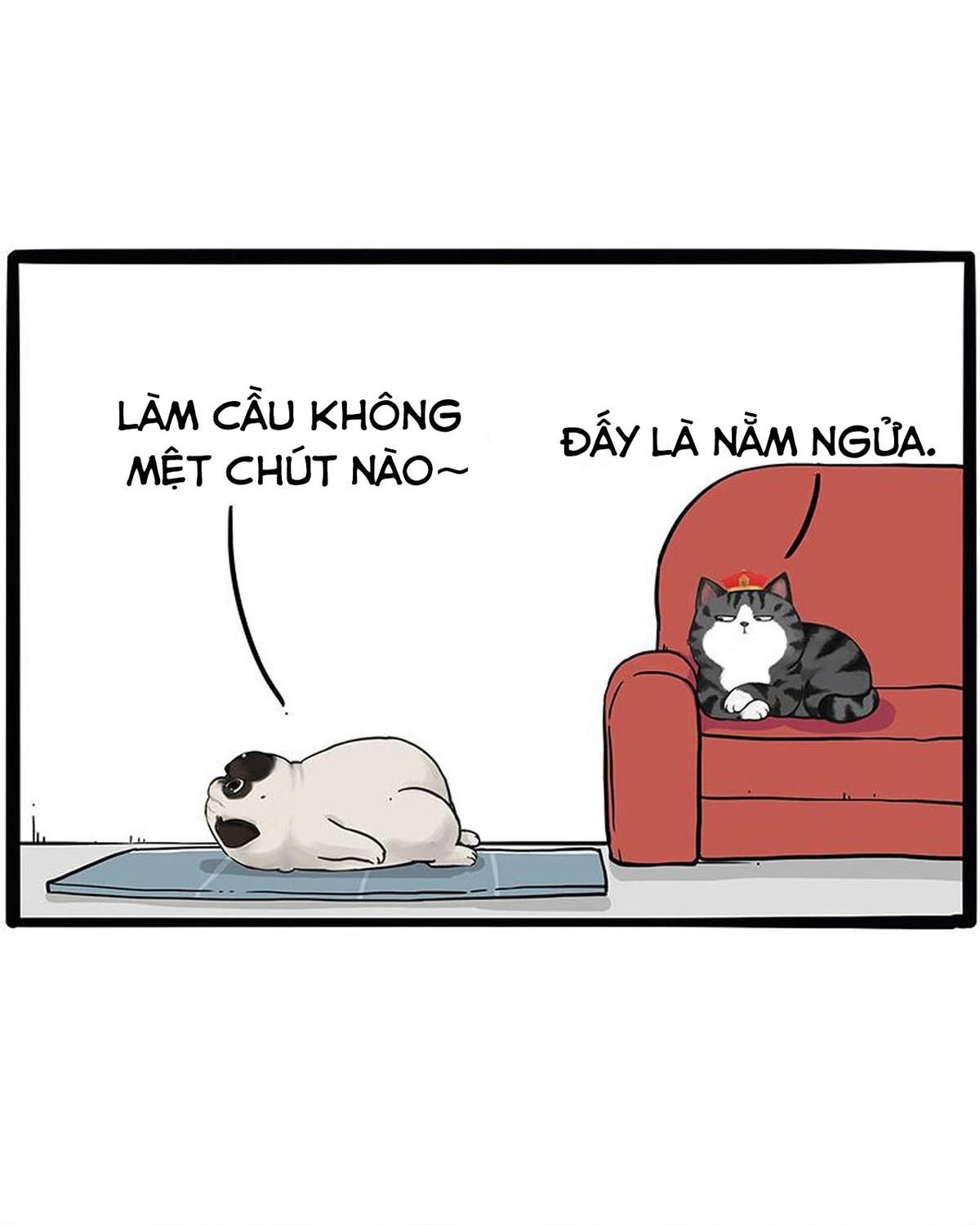 Hoàng Thượng và Ba Trát Hắc: Chapter 215