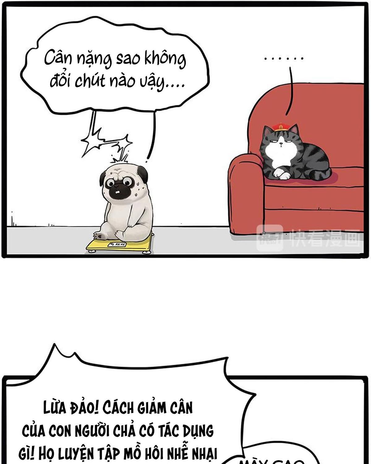 Hoàng Thượng và Ba Trát Hắc: Chapter 215