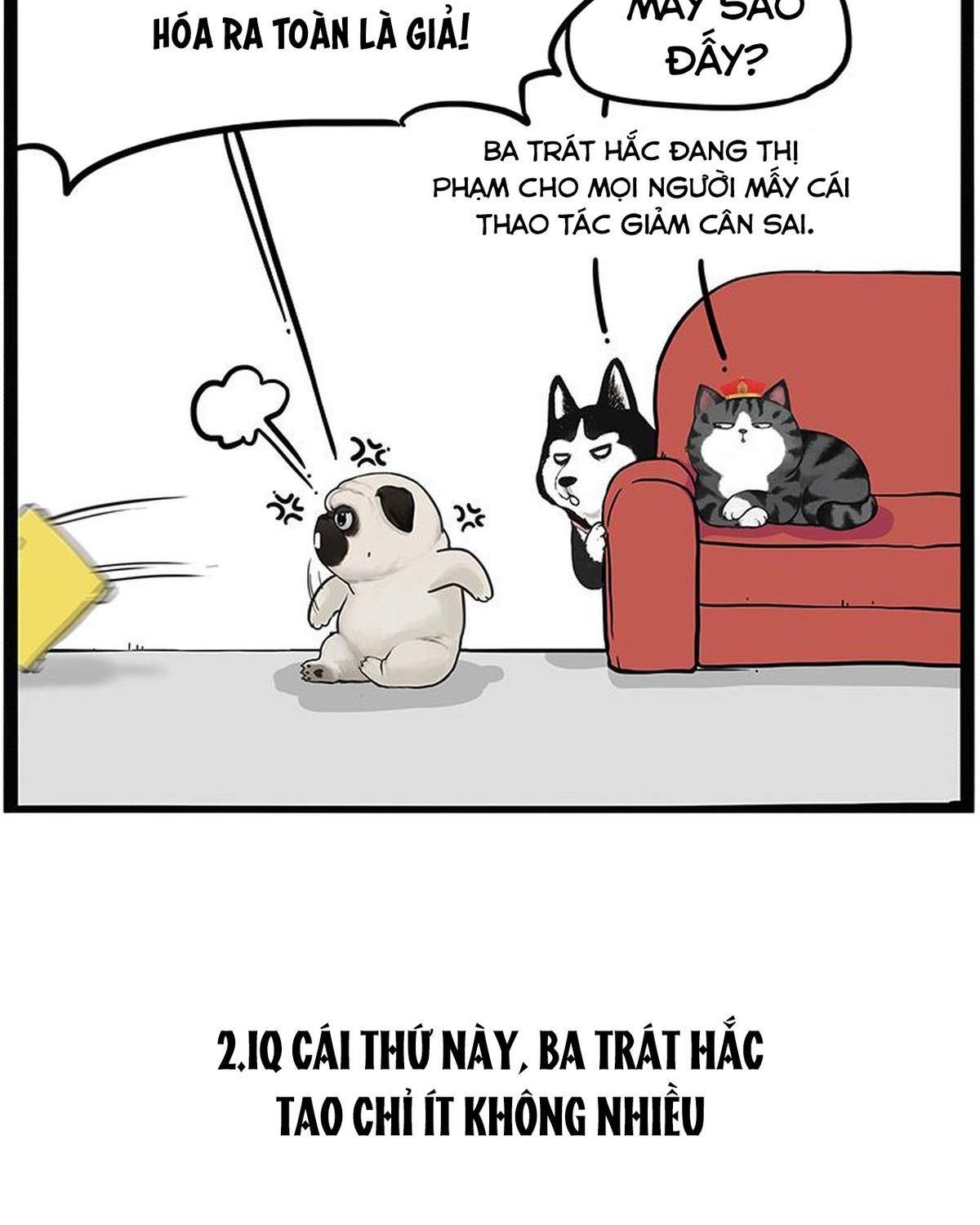 Hoàng Thượng và Ba Trát Hắc: Chapter 215