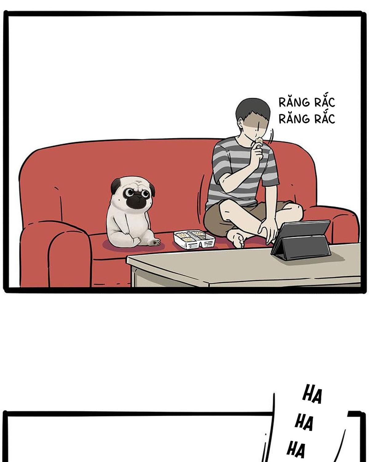 Hoàng Thượng và Ba Trát Hắc: Chapter 215