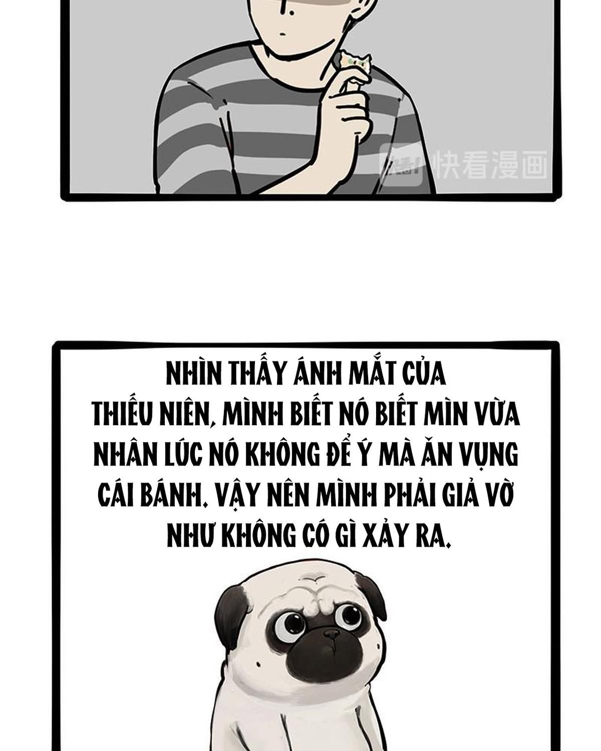 Hoàng Thượng và Ba Trát Hắc: Chapter 215