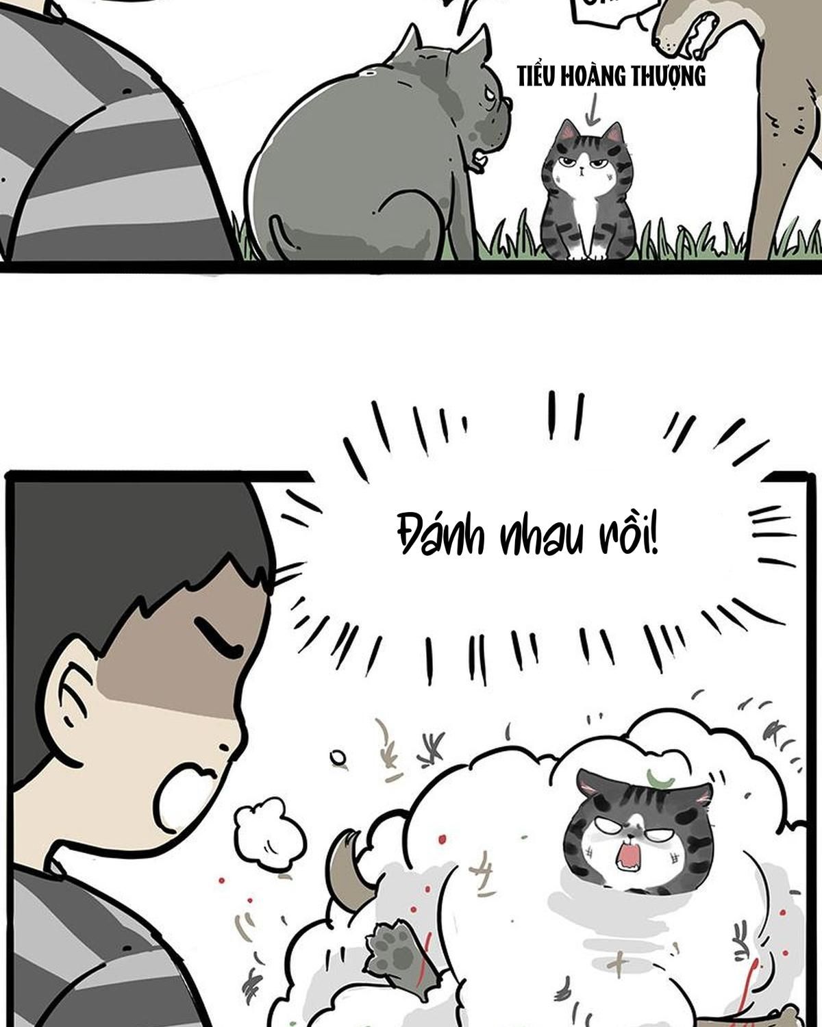 Hoàng Thượng và Ba Trát Hắc: Chapter 219