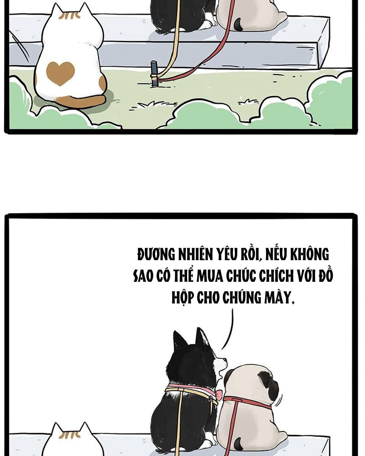 Hoàng Thượng và Ba Trát Hắc: Chapter 223