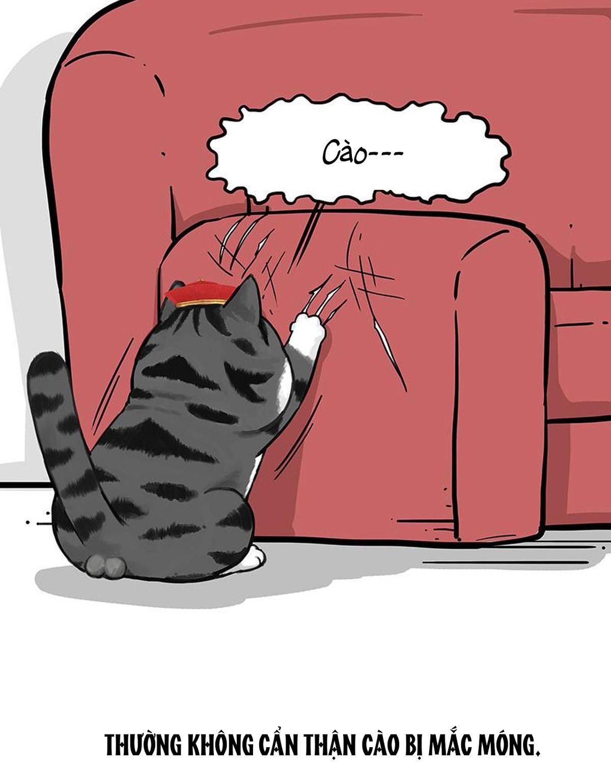 Hoàng Thượng và Ba Trát Hắc: Chapter 226