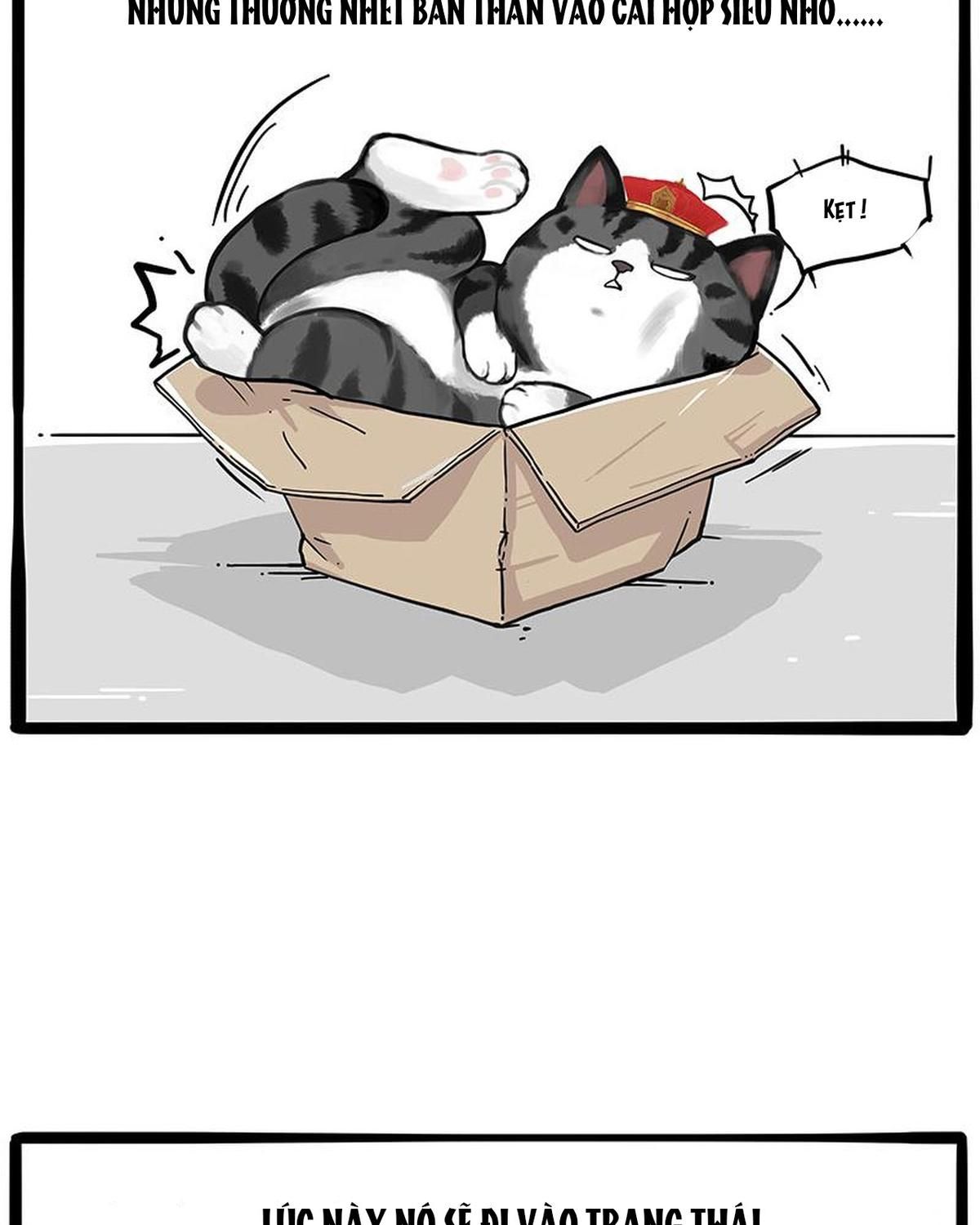 Hoàng Thượng và Ba Trát Hắc: Chapter 226