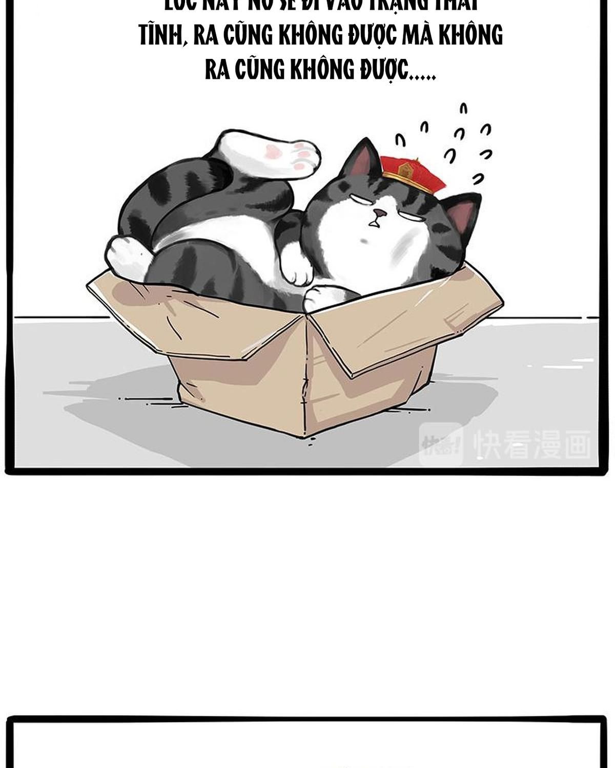 Hoàng Thượng và Ba Trát Hắc: Chapter 226