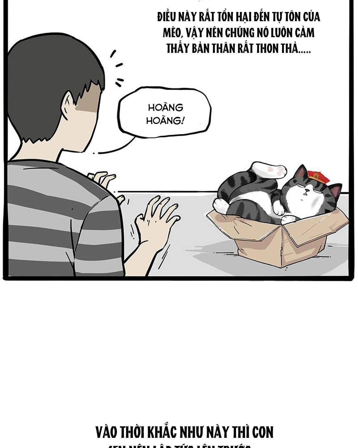 Hoàng Thượng và Ba Trát Hắc: Chapter 226