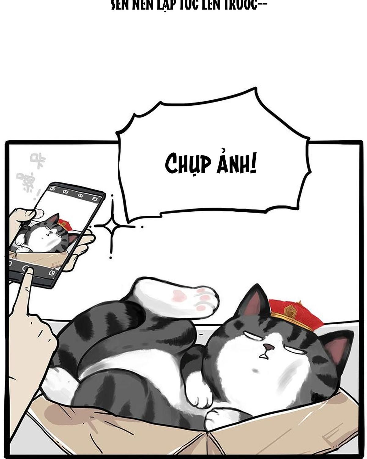 Hoàng Thượng và Ba Trát Hắc: Chapter 226