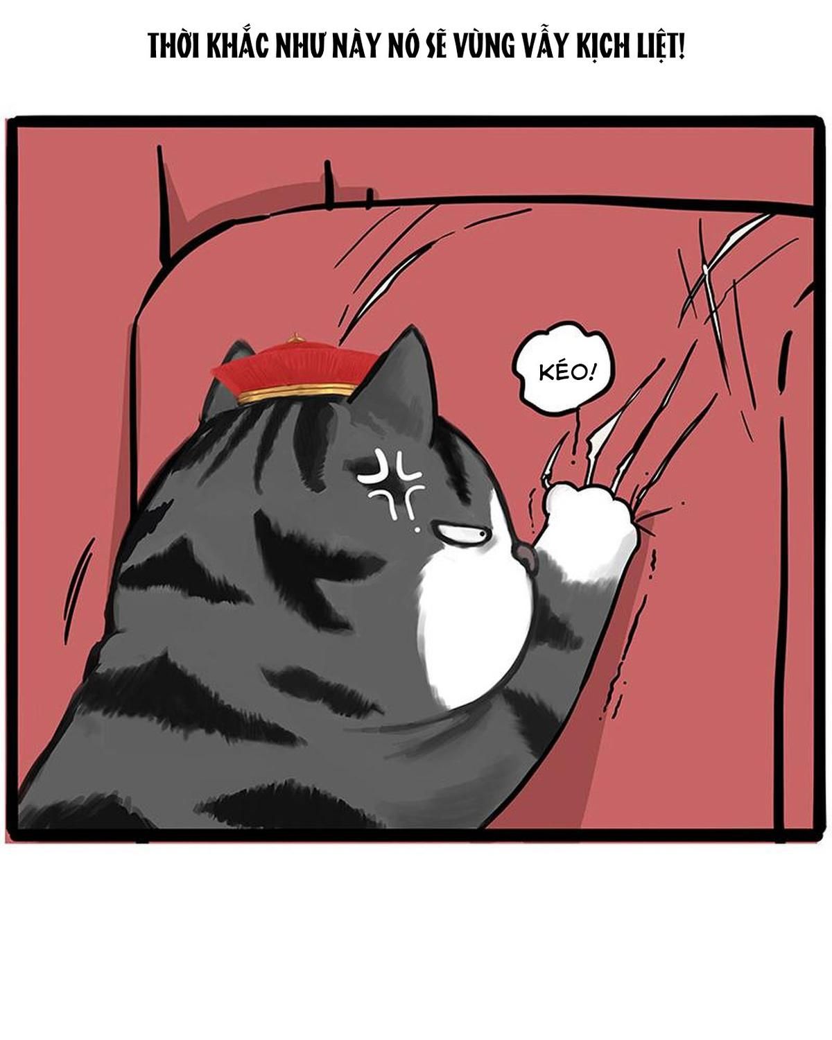 Hoàng Thượng và Ba Trát Hắc: Chapter 226