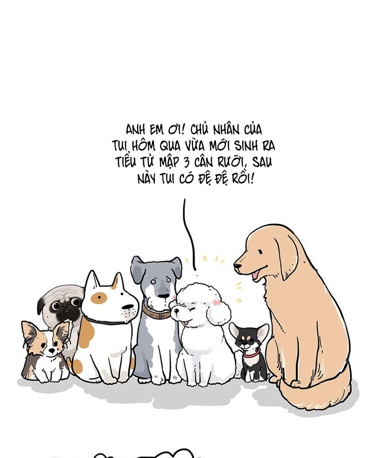 Hoàng Thượng và Ba Trát Hắc: Chapter 232