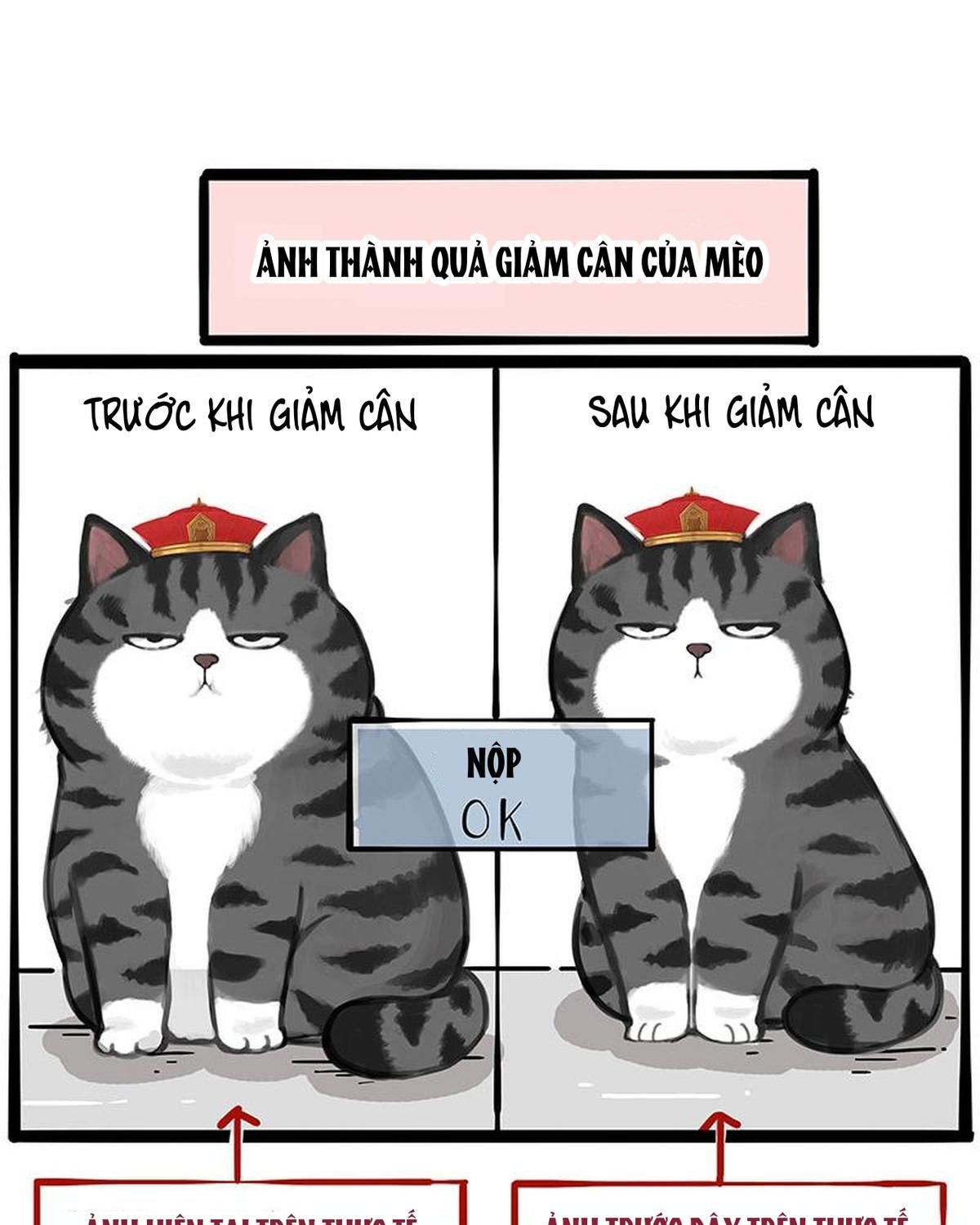 Hoàng Thượng và Ba Trát Hắc: Chapter 233