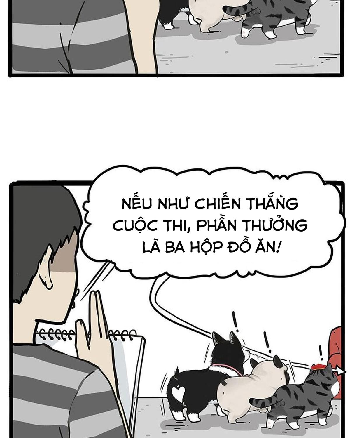 Hoàng Thượng và Ba Trát Hắc: Chapter 233