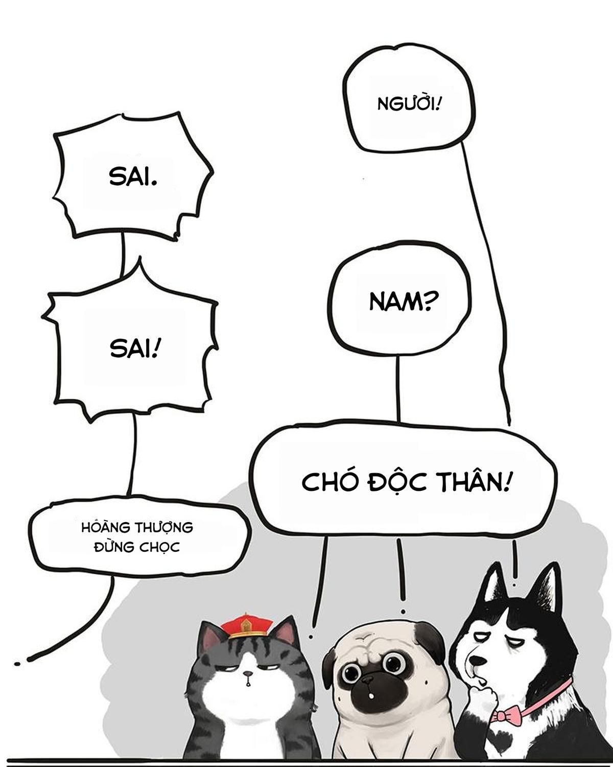 Hoàng Thượng và Ba Trát Hắc: Chapter 233