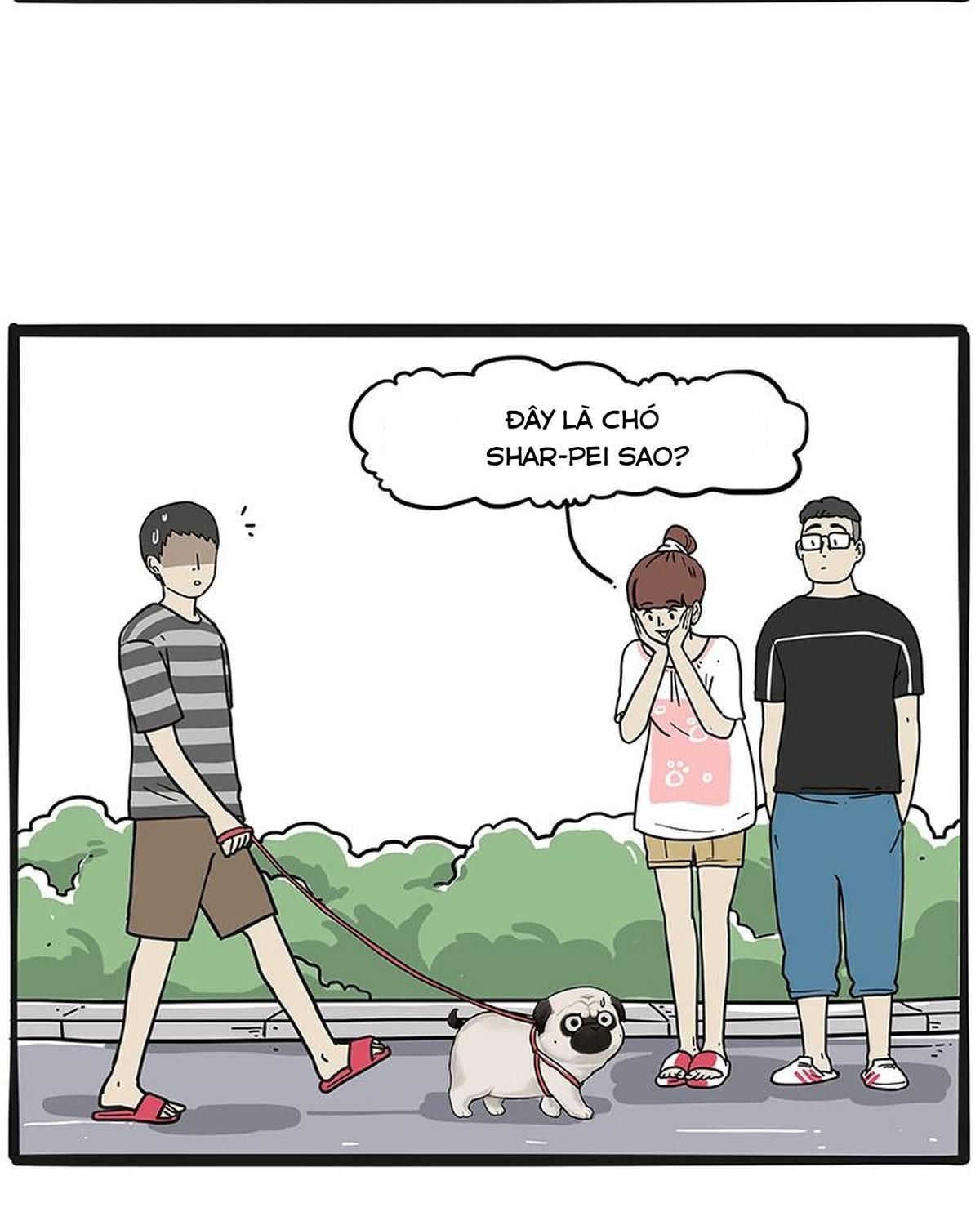 Hoàng Thượng và Ba Trát Hắc: Chapter 233