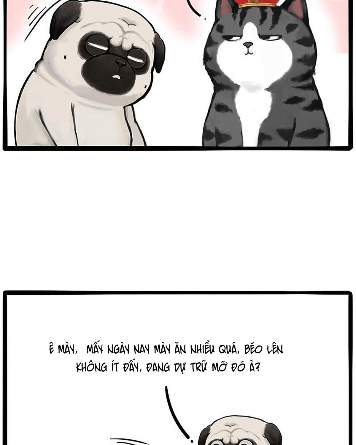 Hoàng Thượng và Ba Trát Hắc: Chapter 233